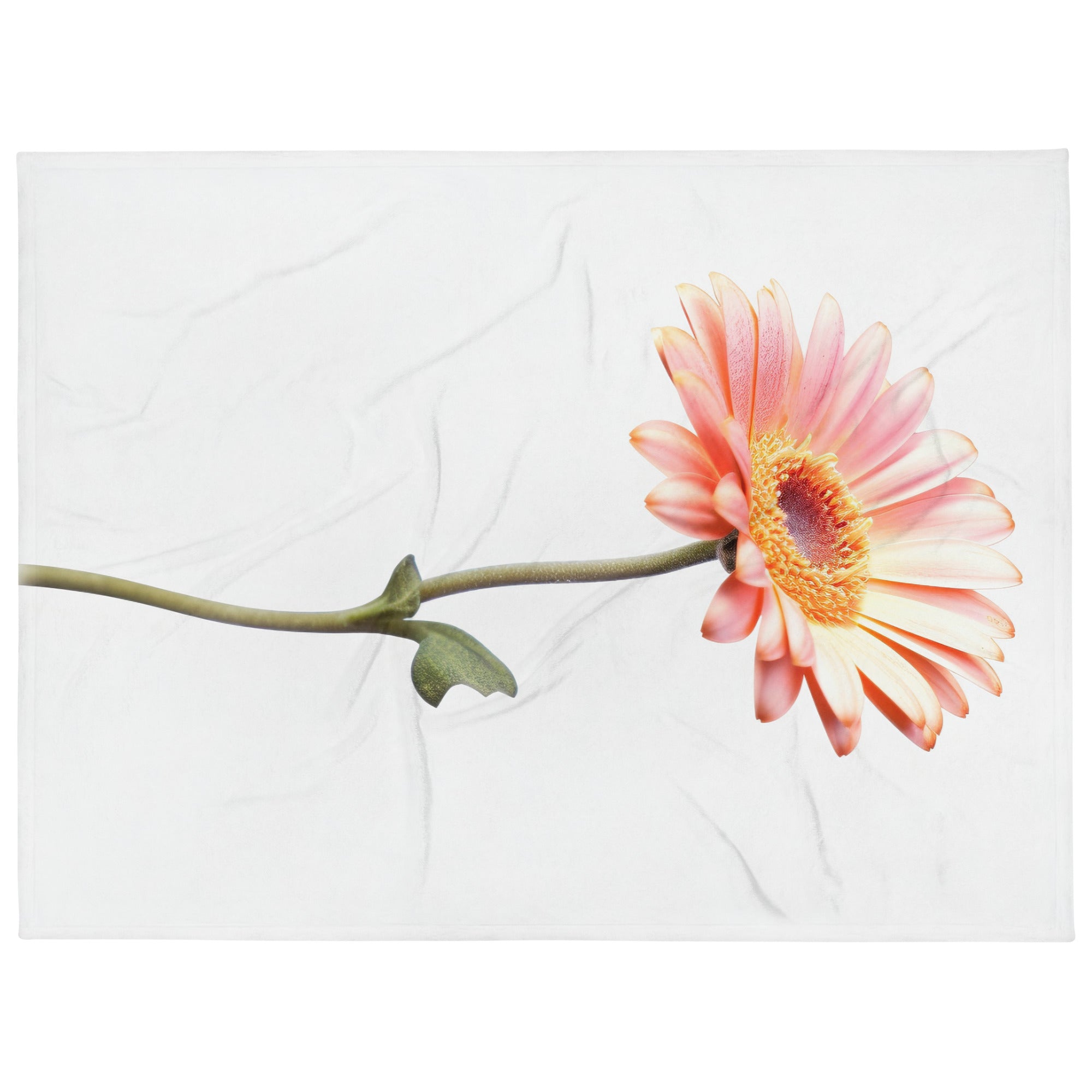 Apricot Daisy Flower Blanket by Visual Verse - Image 1