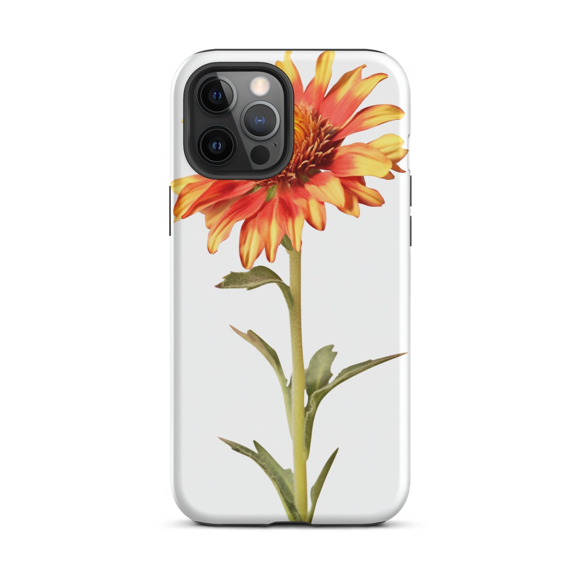 Arizona Sun Gaillardia Flower iPhone Case by Visual Verse - Image 14