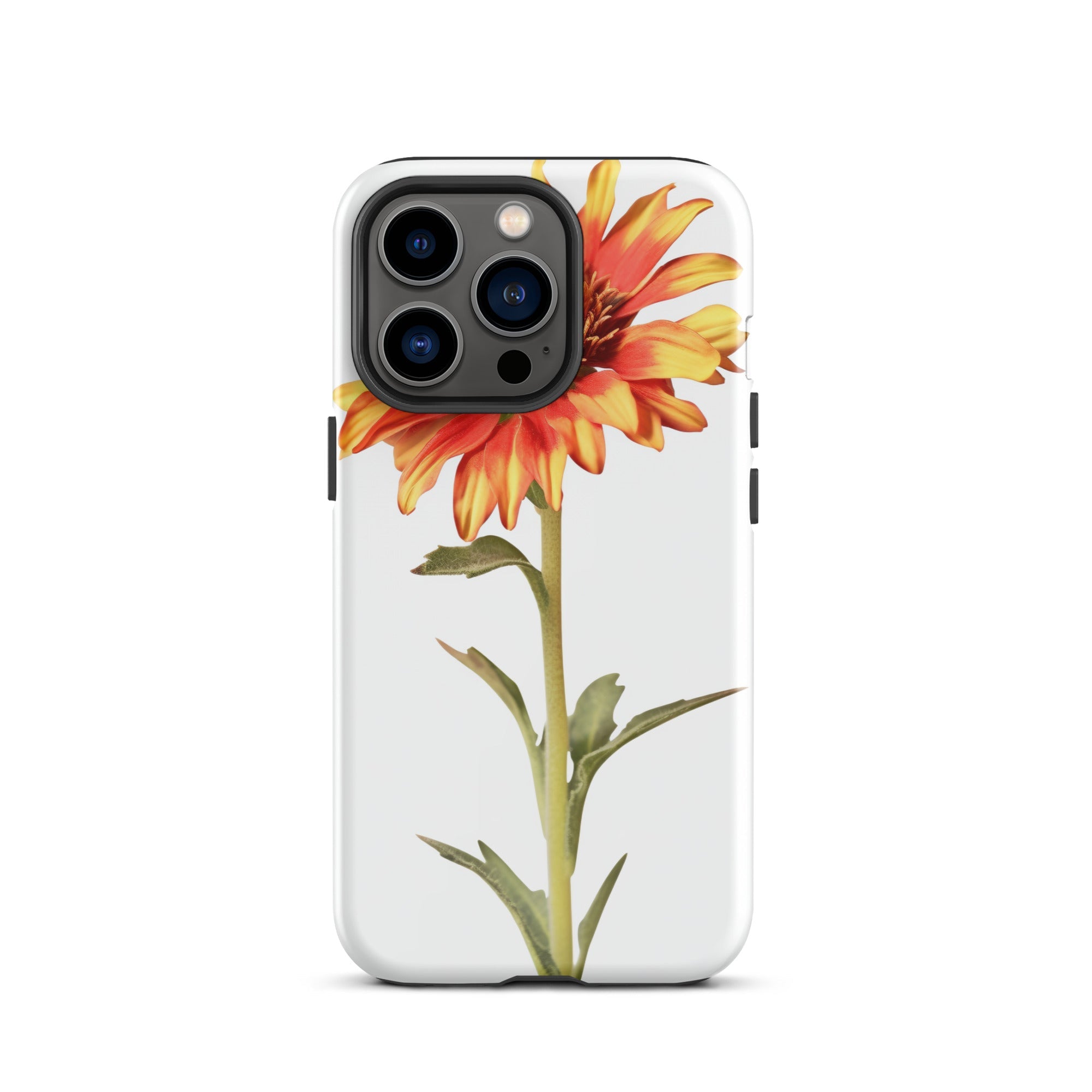 Arizona Sun Gaillardia Flower iPhone Case by Visual Verse - Image 19