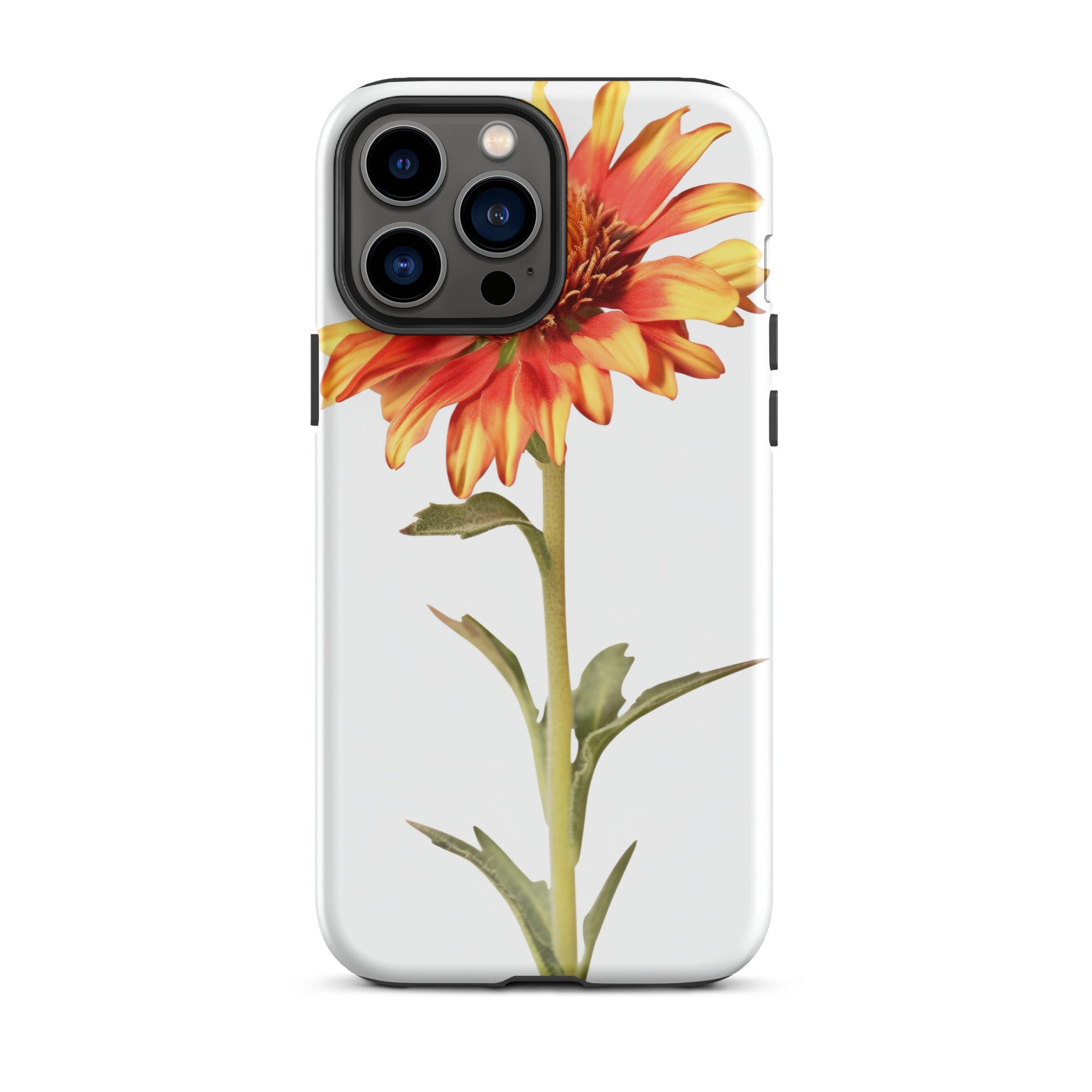 Arizona Sun Gaillardia Flower iPhone Case by Visual Verse - Image 21