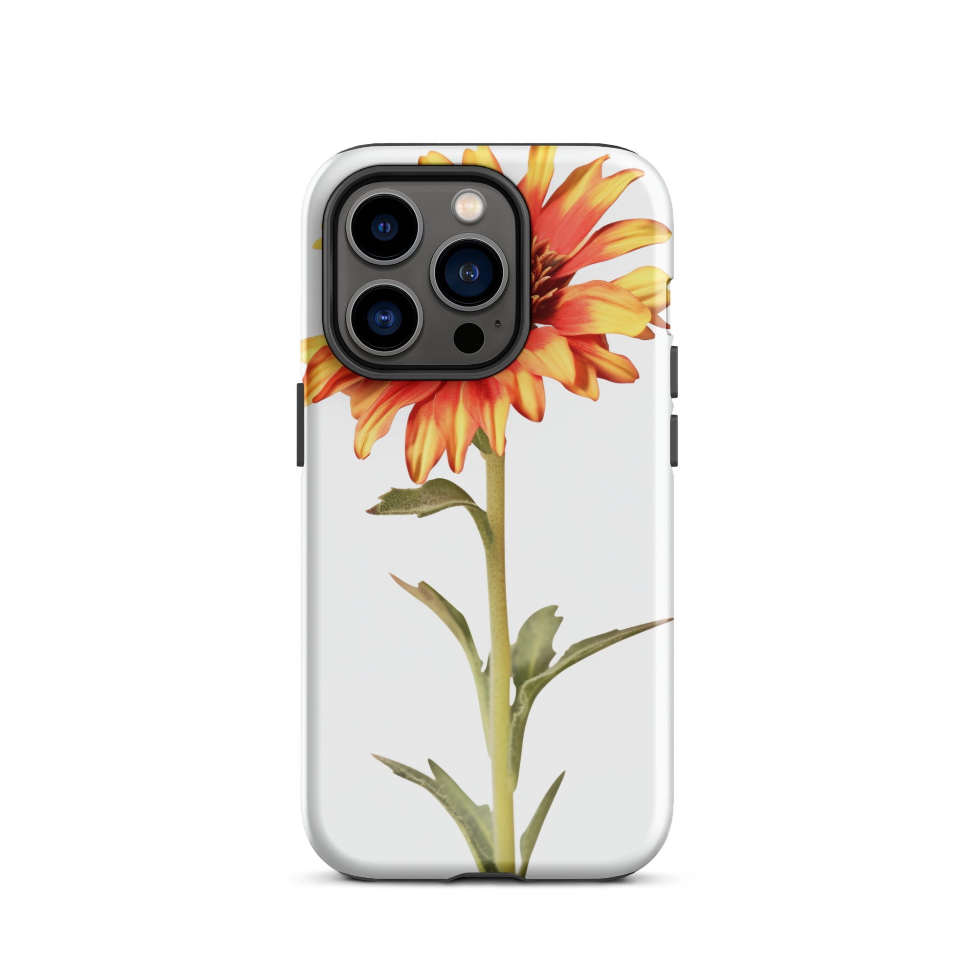Arizona Sun Gaillardia Flower iPhone Case by Visual Verse - Image 27