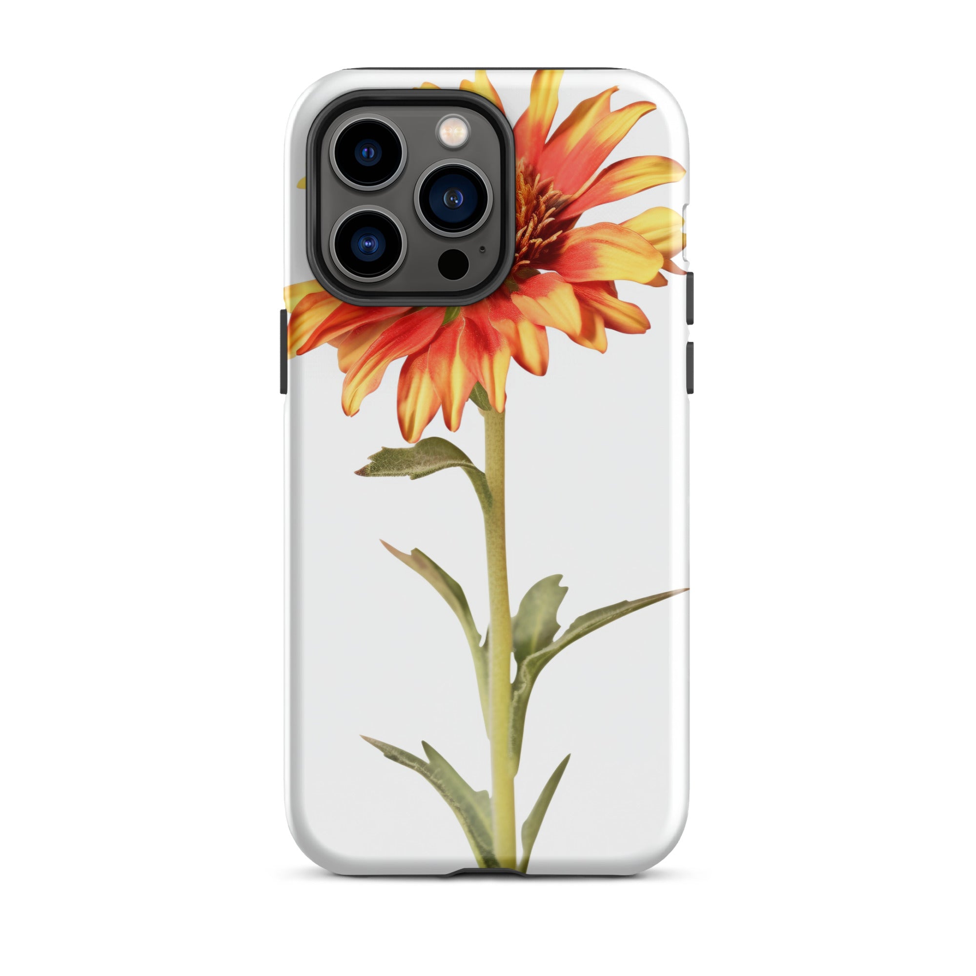 Arizona Sun Gaillardia Flower iPhone Case by Visual Verse - Image 29