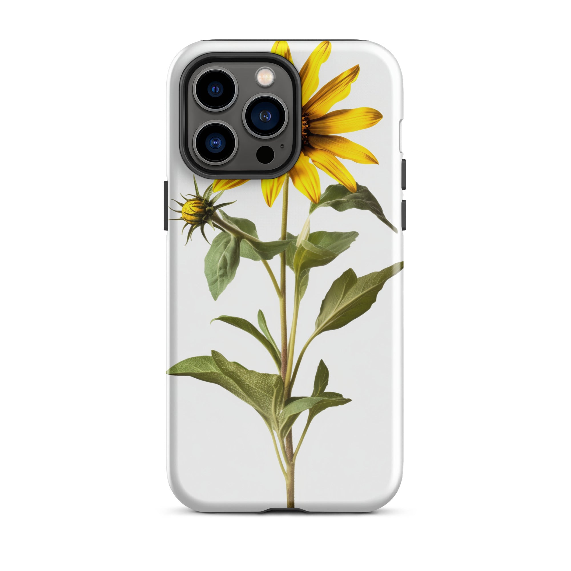 Arrowleaf Balsamroot Flower iPhone Case by Visual Verse - Image 29