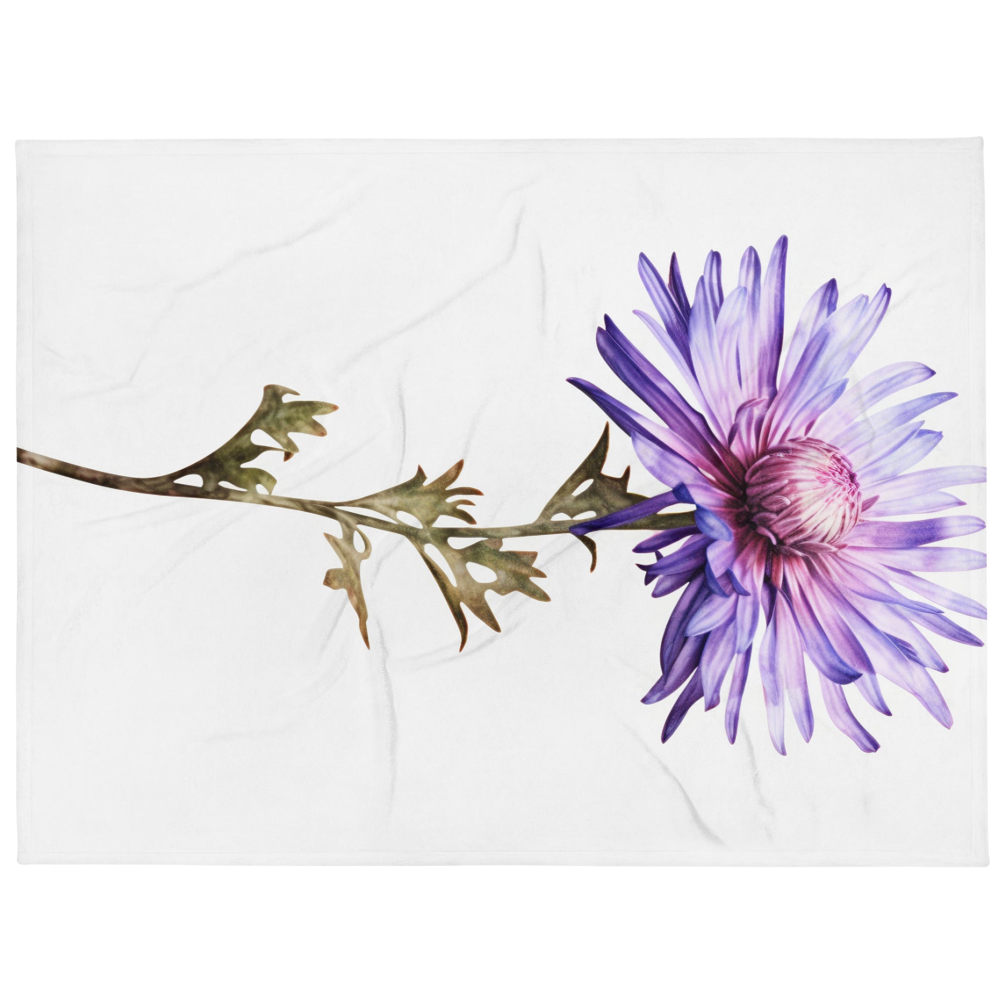 Aster Asteroides Flower Blanket by Visual Verse - Image 1