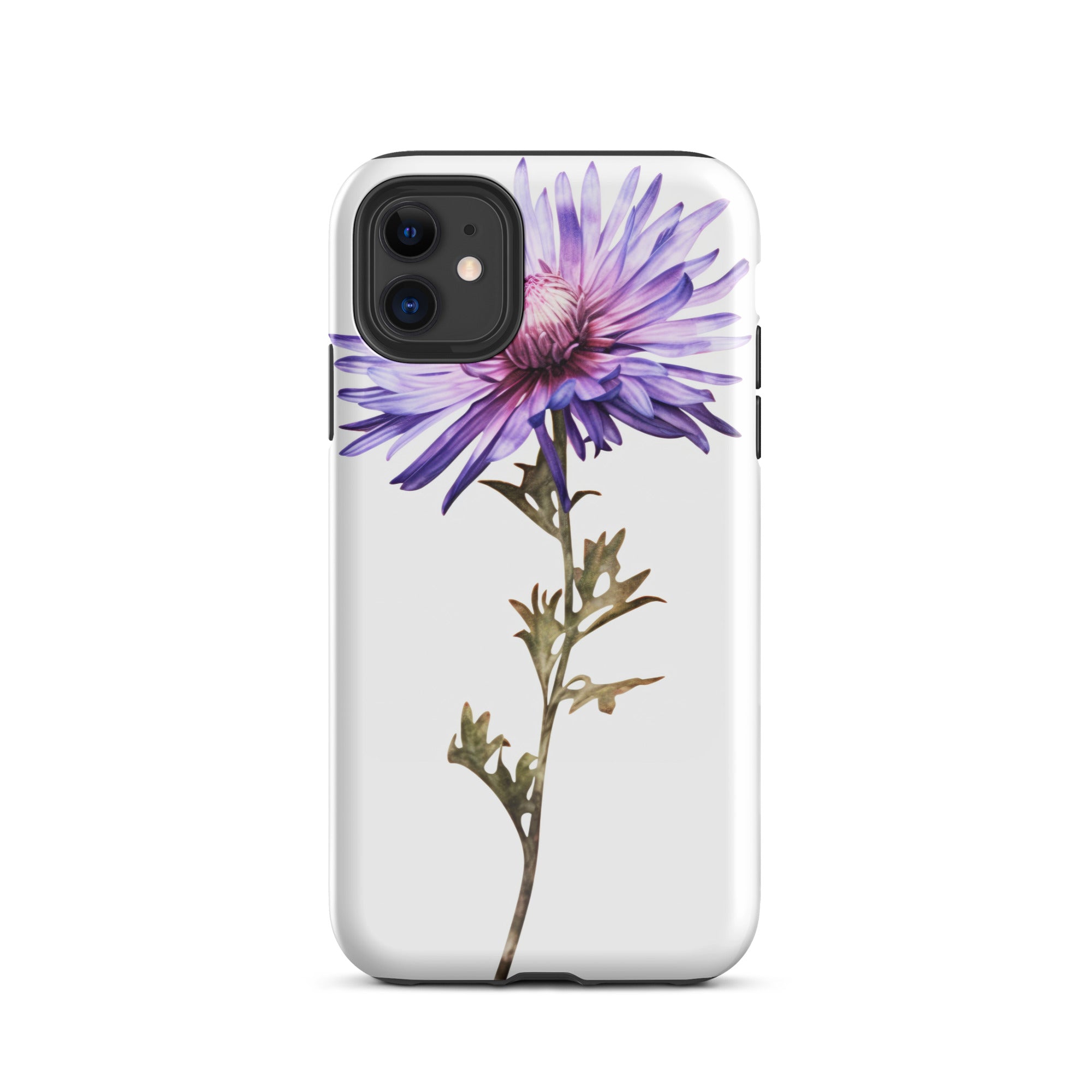 Aster Asteroides Flower iPhone Case by Visual Verse - Image 1