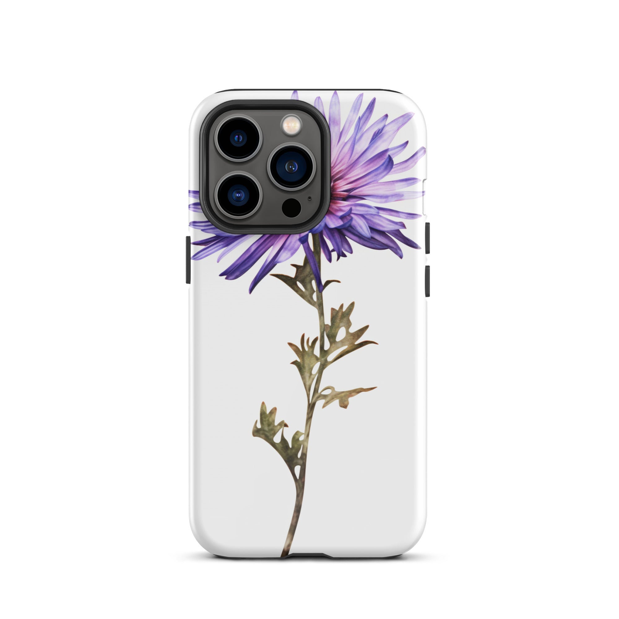 Aster Asteroides Flower iPhone Case by Visual Verse - Image 19