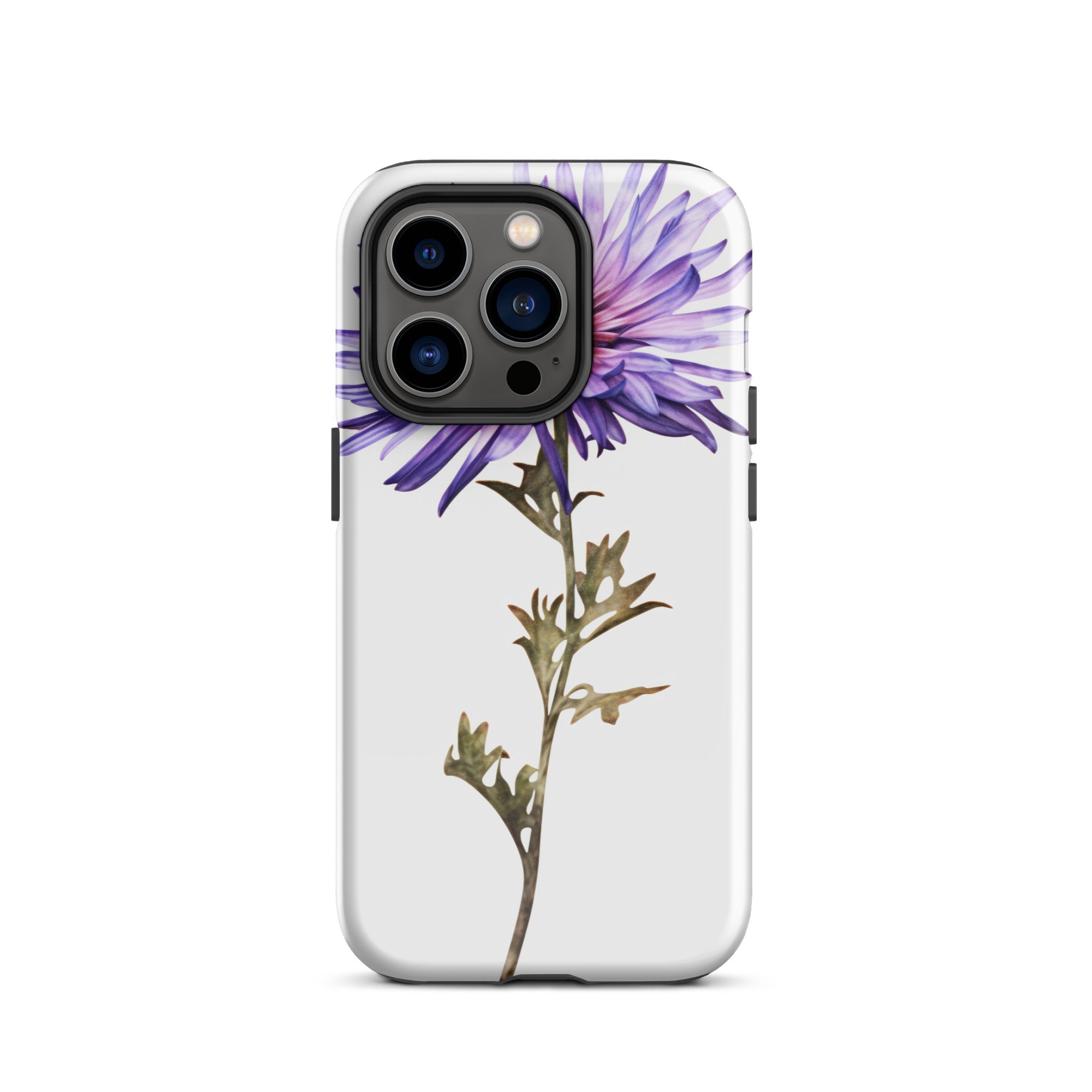 Aster Asteroides Flower iPhone Case by Visual Verse - Image 27