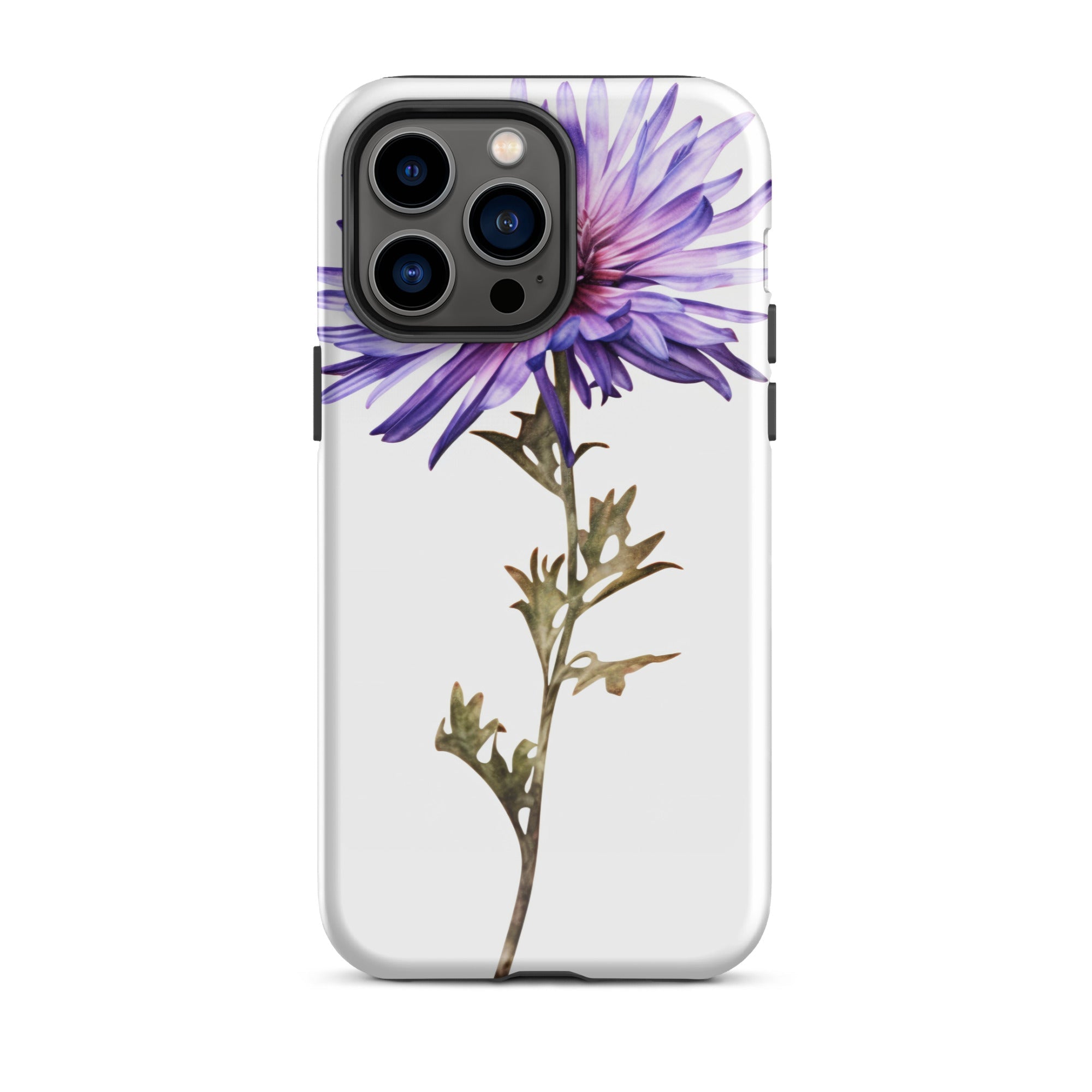 Aster Asteroides Flower iPhone Case by Visual Verse - Image 29