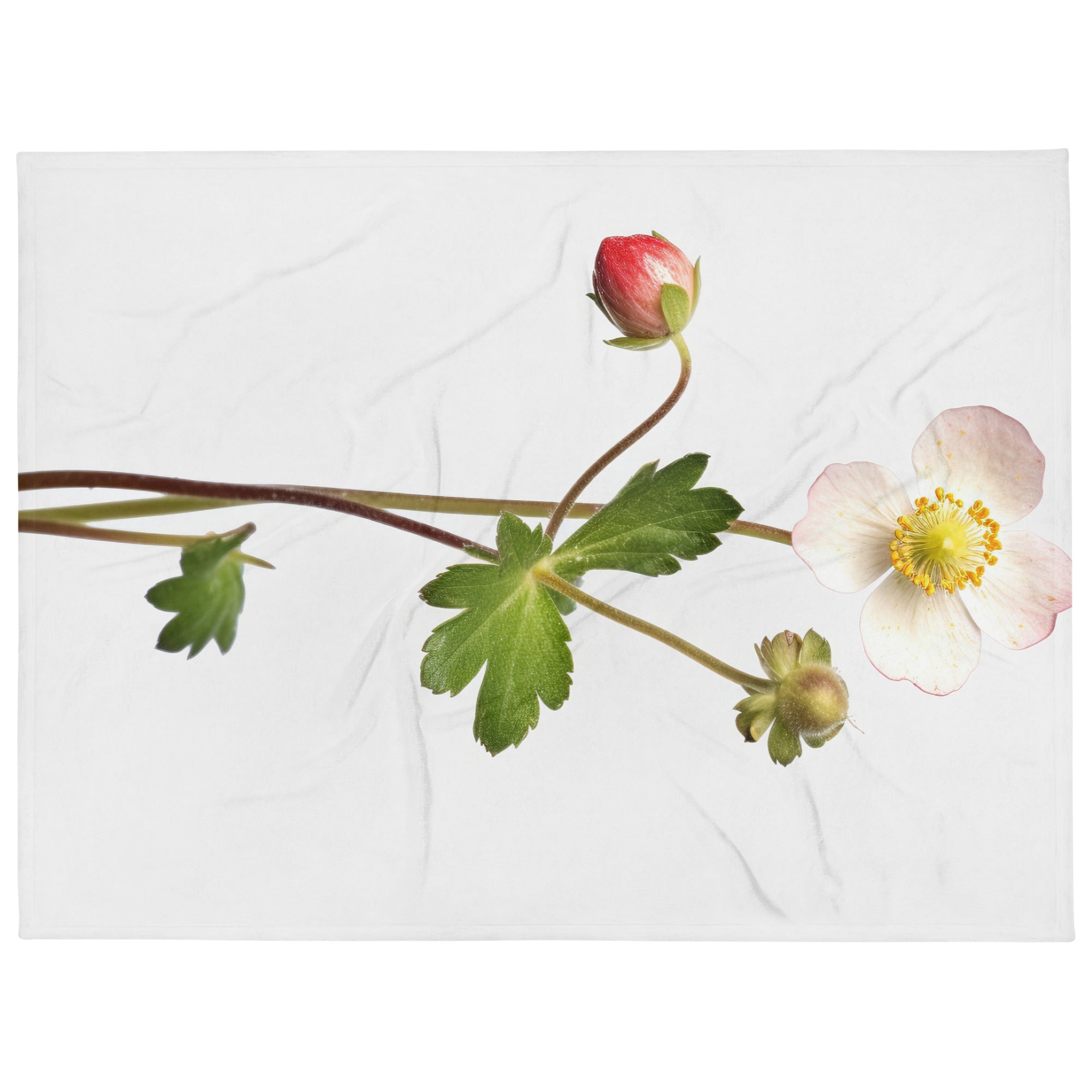 Barren Strawberry Flower Blanket by Visual Verse - Image 1
