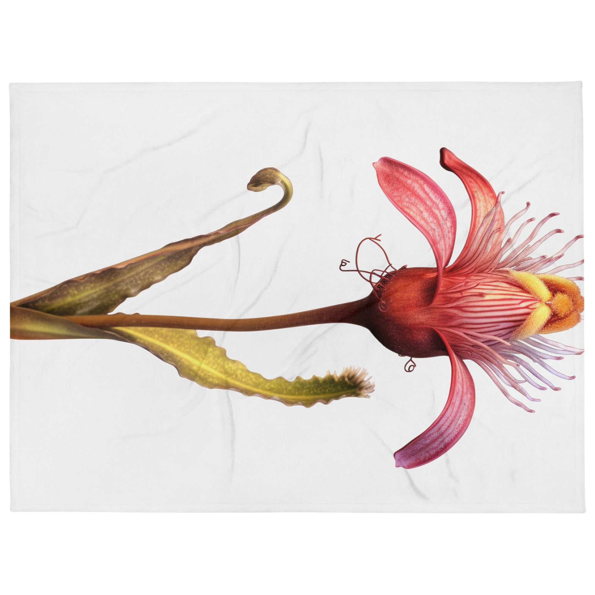 Bearded Tongue Flower Blanket by Visual Verse - Image 1