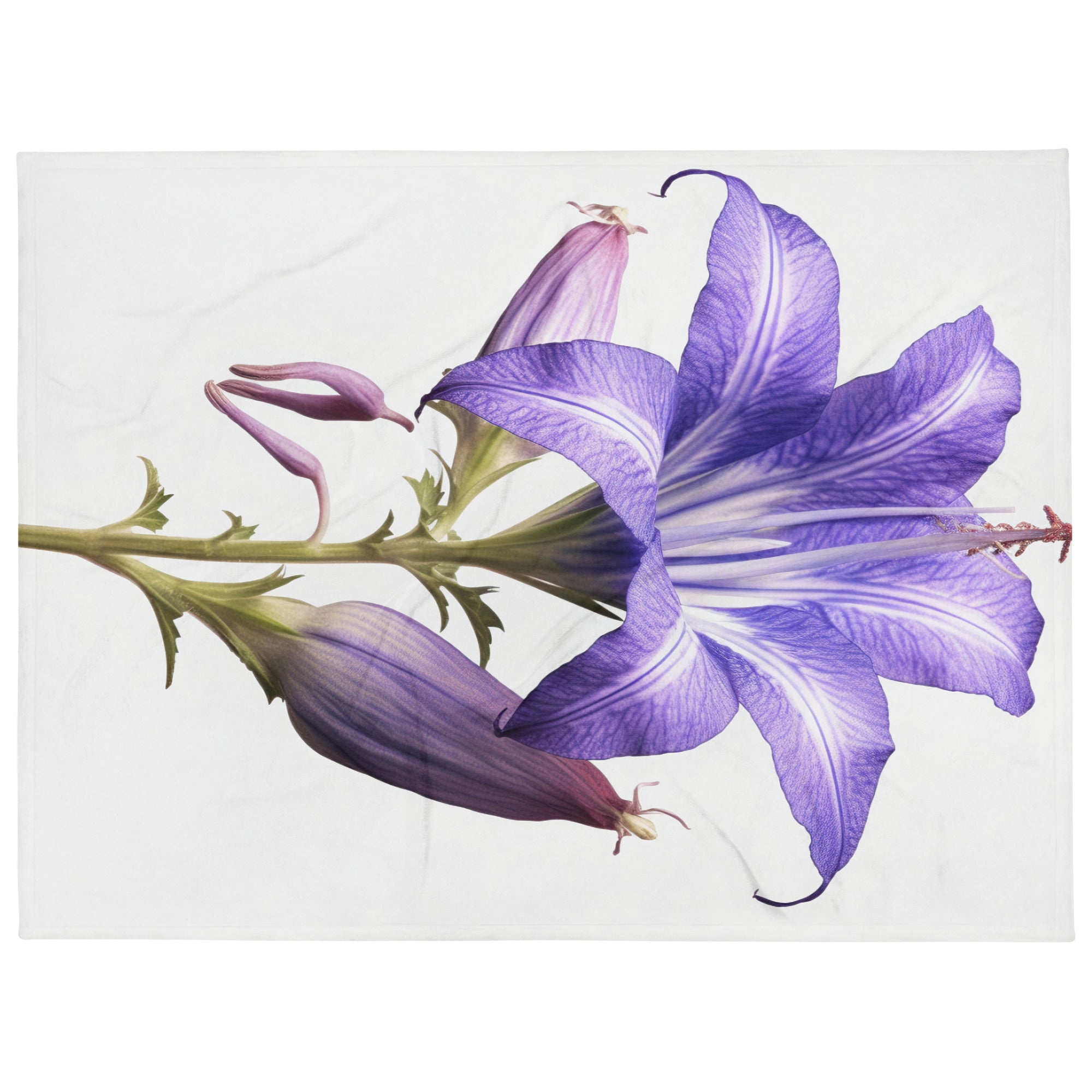 Bellflower Rapido Flower Blanket by Visual Verse - Image 1