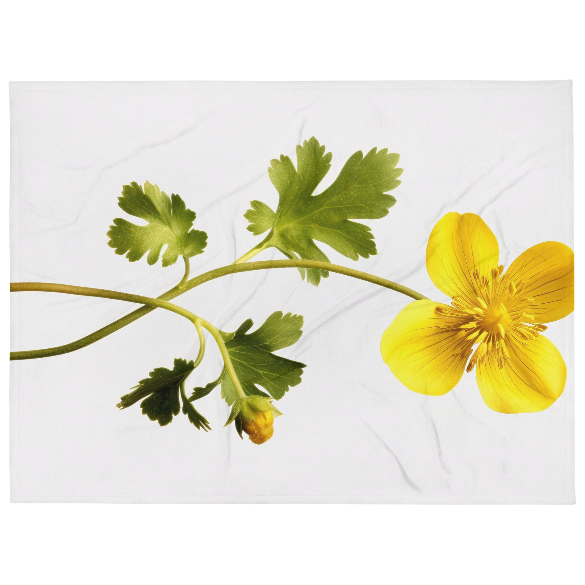 Creeping Buttercup Flower Blanket by Visual Verse - Image 1