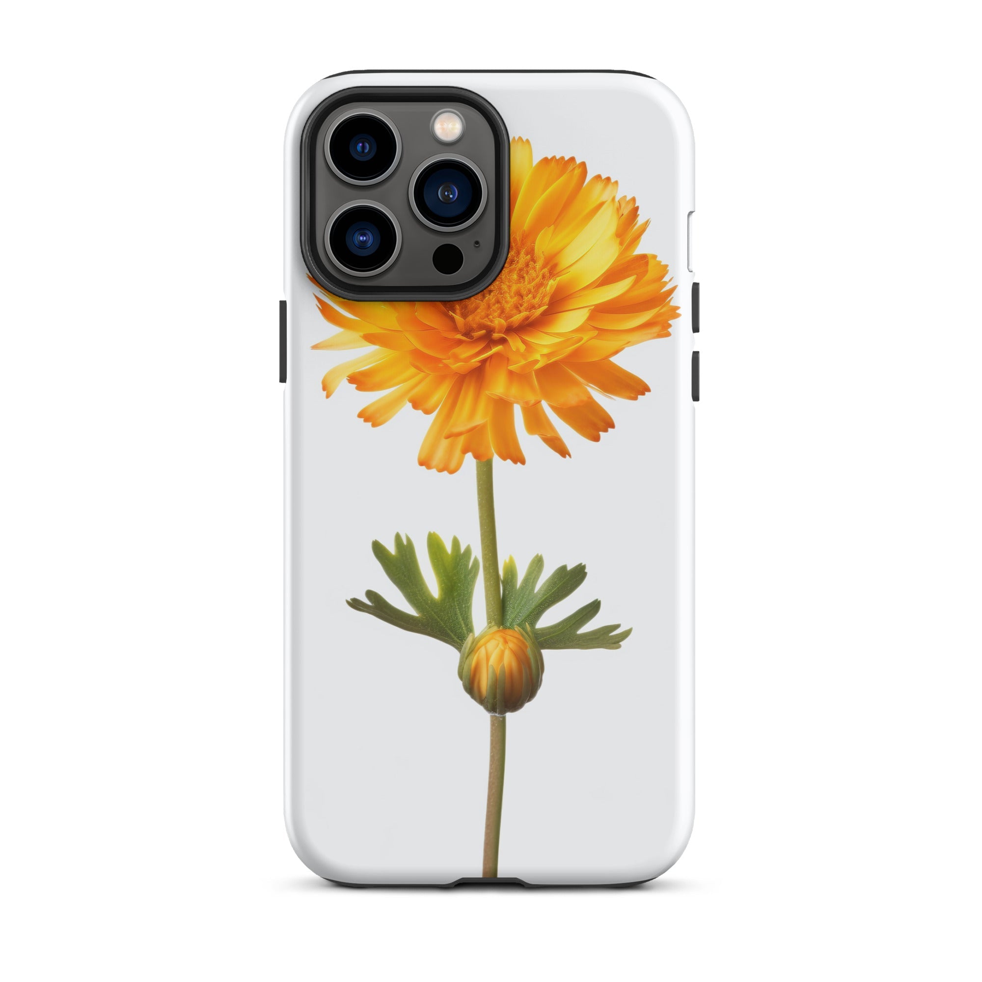 Desert Marigold Flower iPhone Case by Visual Verse - Image 22