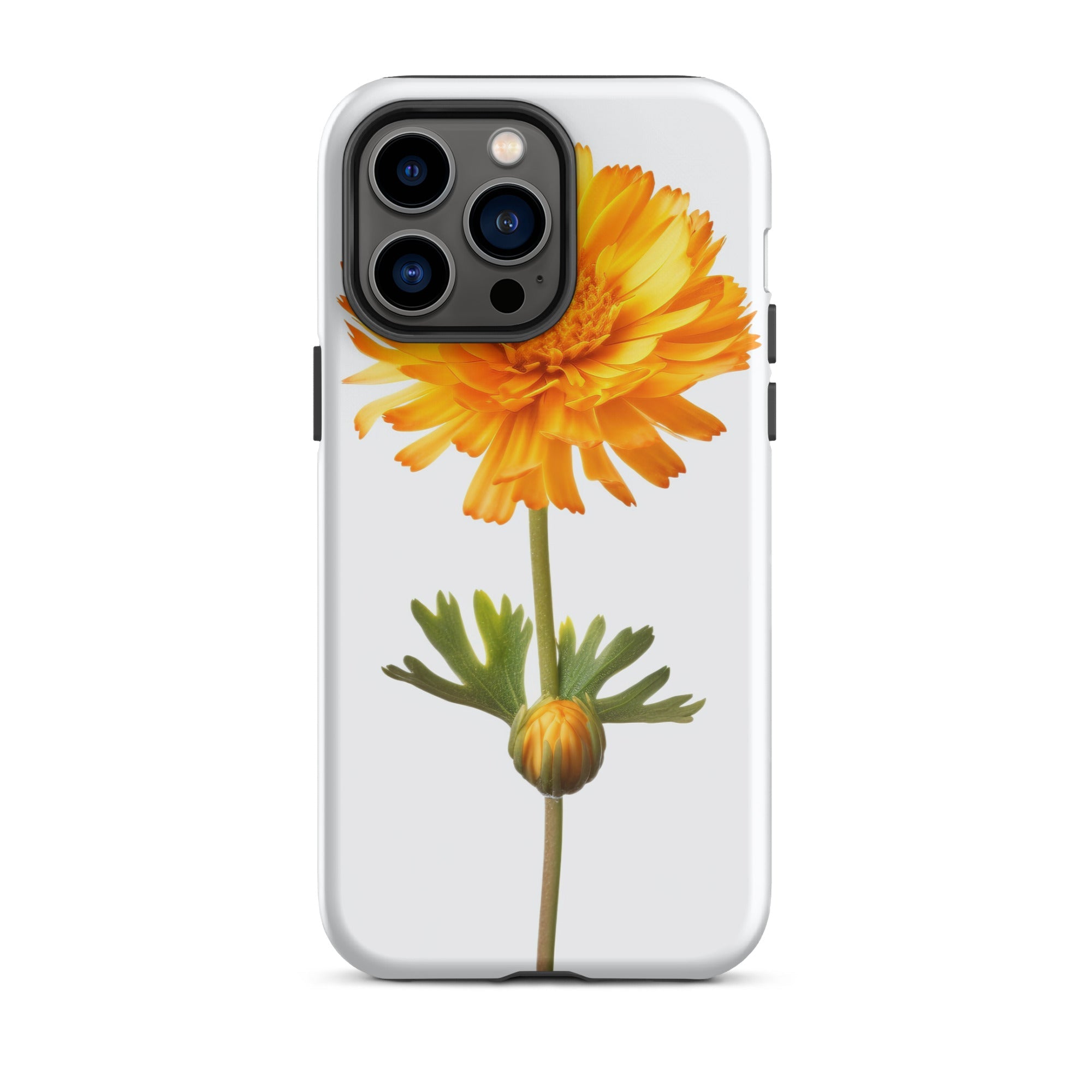 Desert Marigold Flower iPhone Case by Visual Verse - Image 30