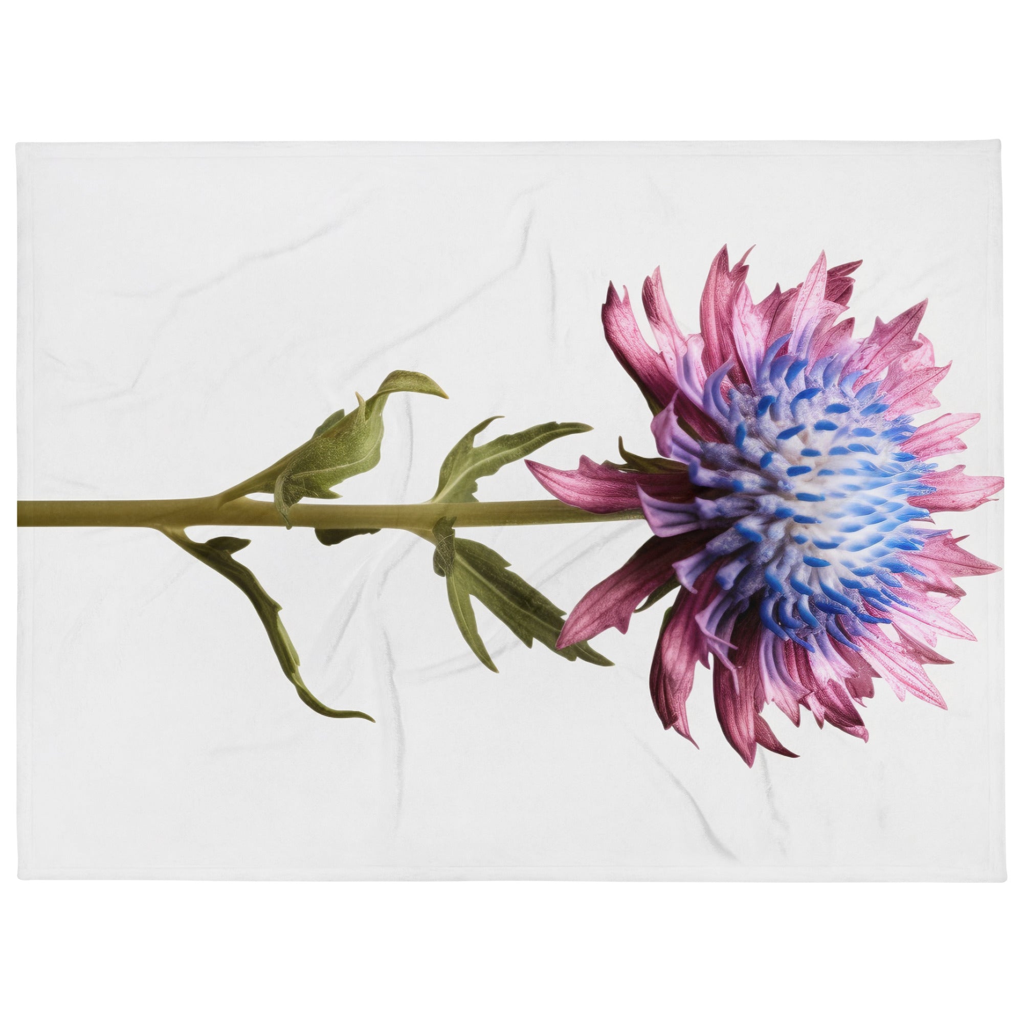 Devils Bit Scabious Flower Blanket by Visual Verse - Image 1