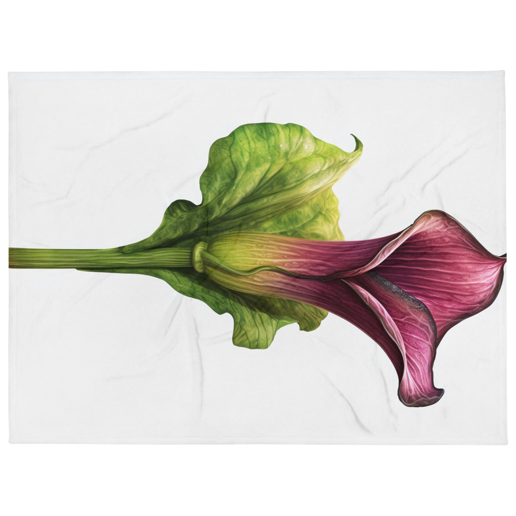 Dragon Arum Flower Blanket by Visual Verse - Image 1