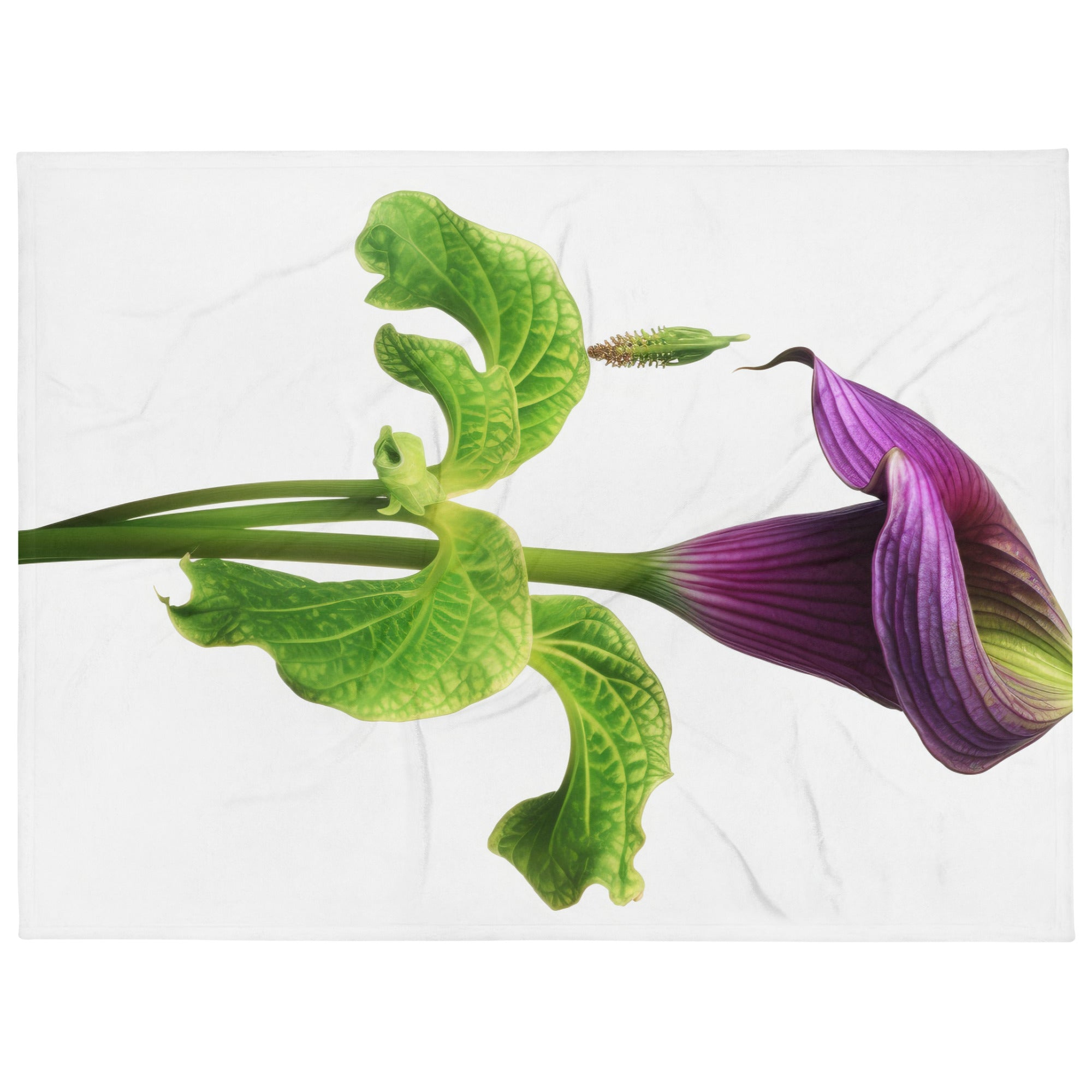 Jack-in-the-Pulpit Flower Blanket by Visual Verse - Image 1