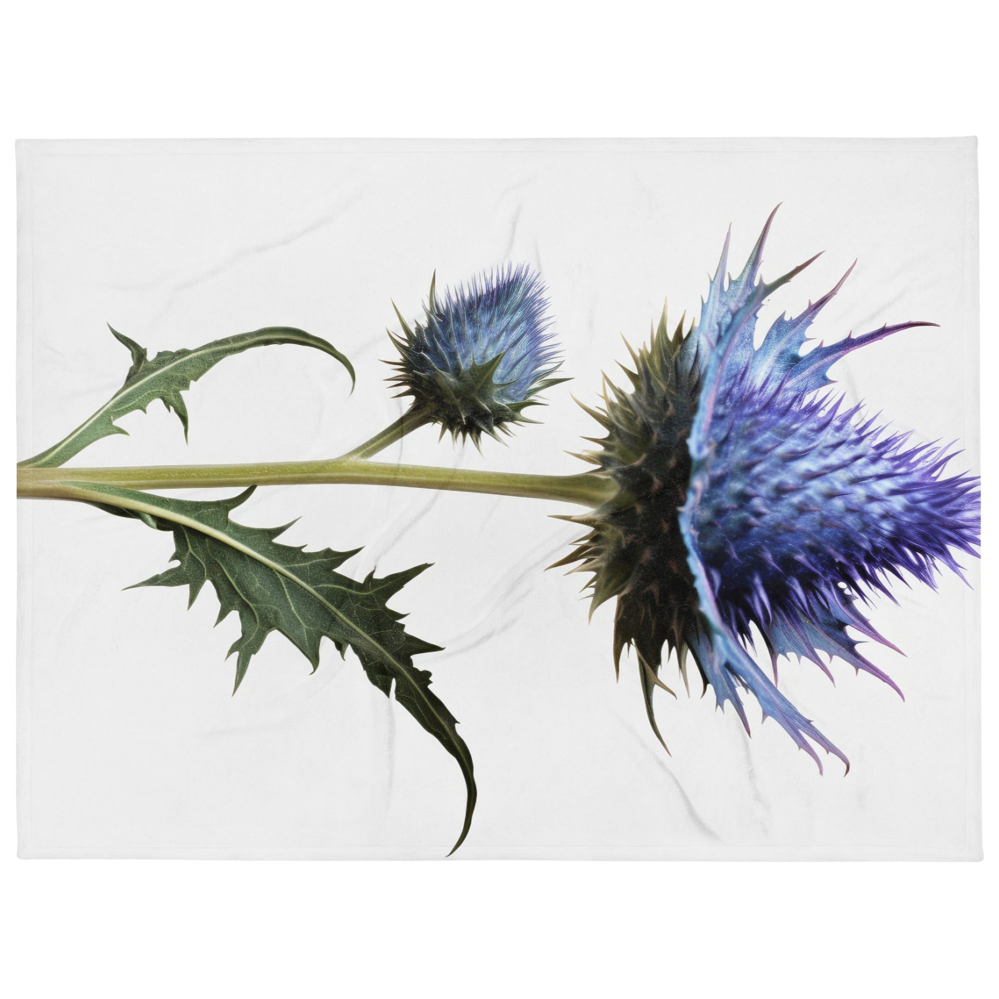 Sea Holly Flower Blanket by Visual Verse - Image 1
