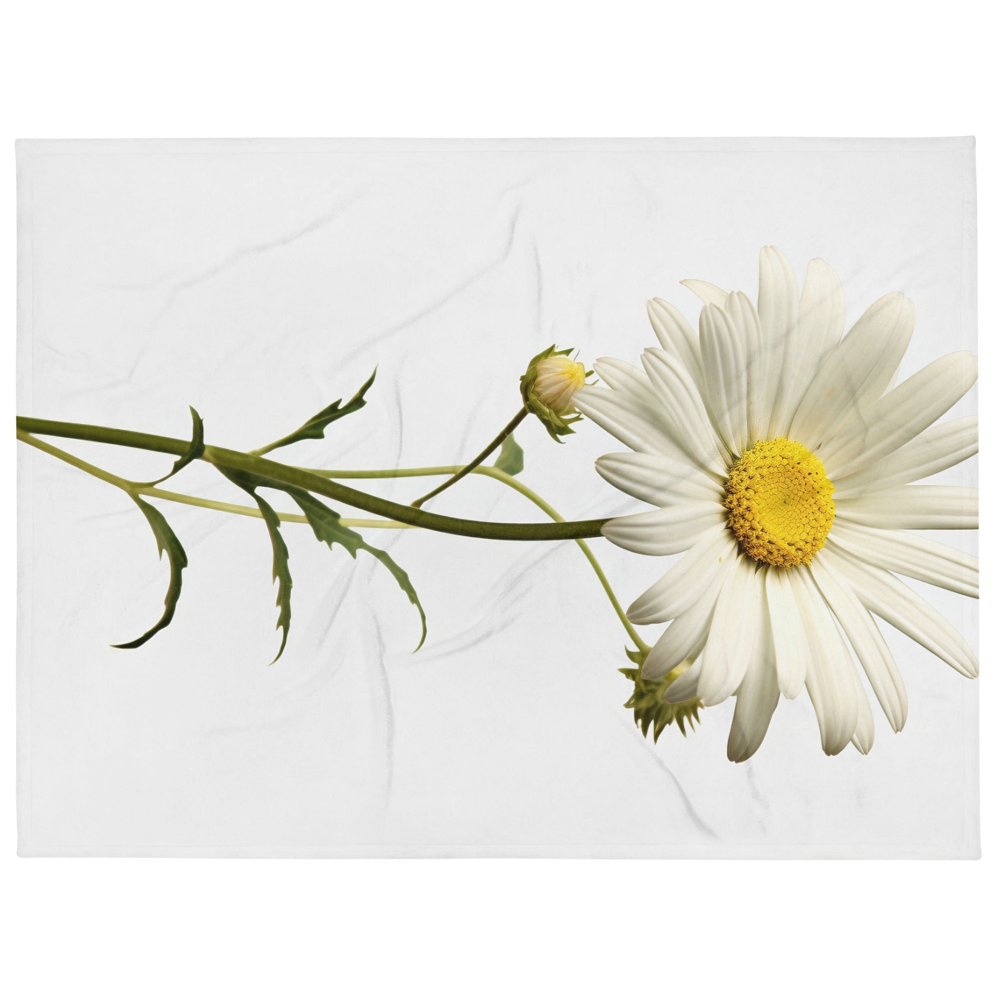 Shasta Daisy Flower Blanket by Visual Verse - Image 1