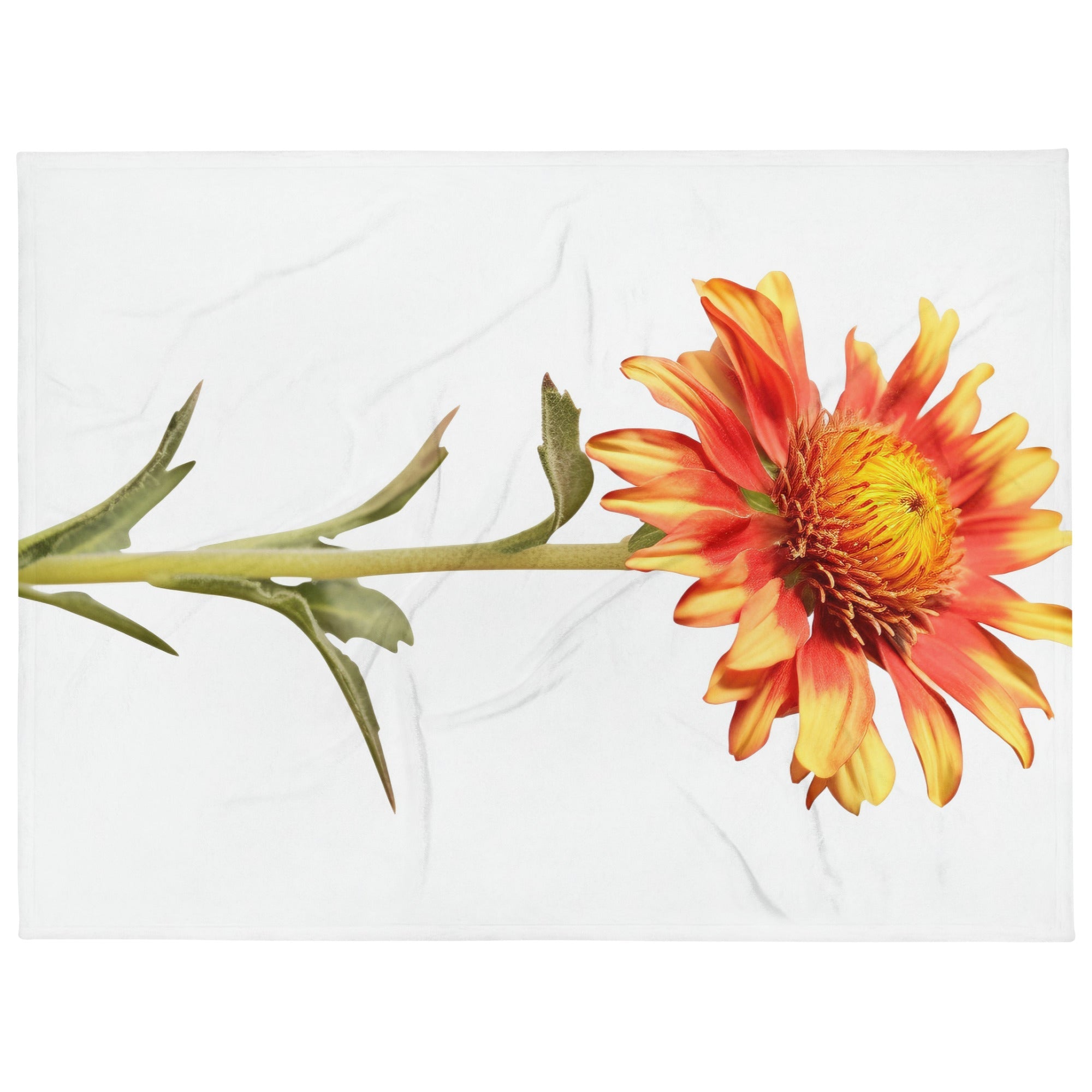 Arizona Sun Gaillardia Flower Blanket by Visual Verse - Image 1