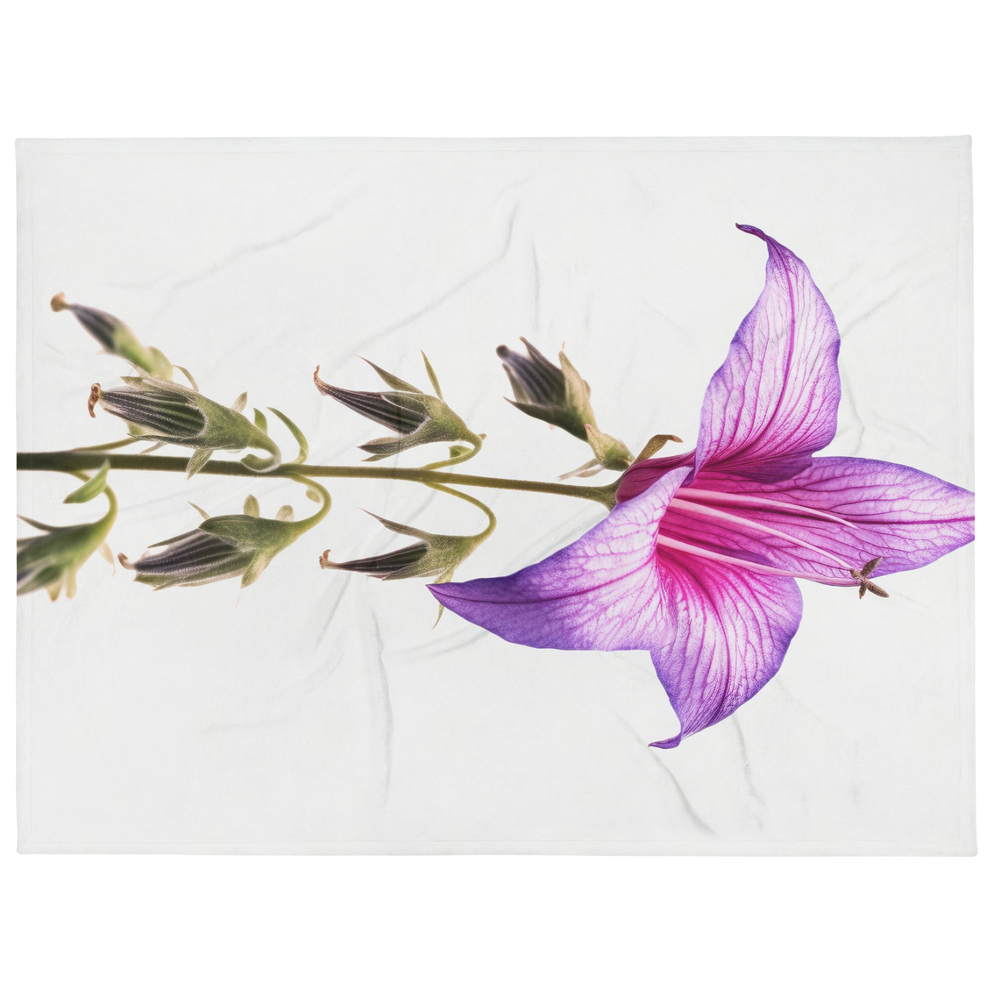 Bellflower Flower Blanket by Visual Verse - Image 1