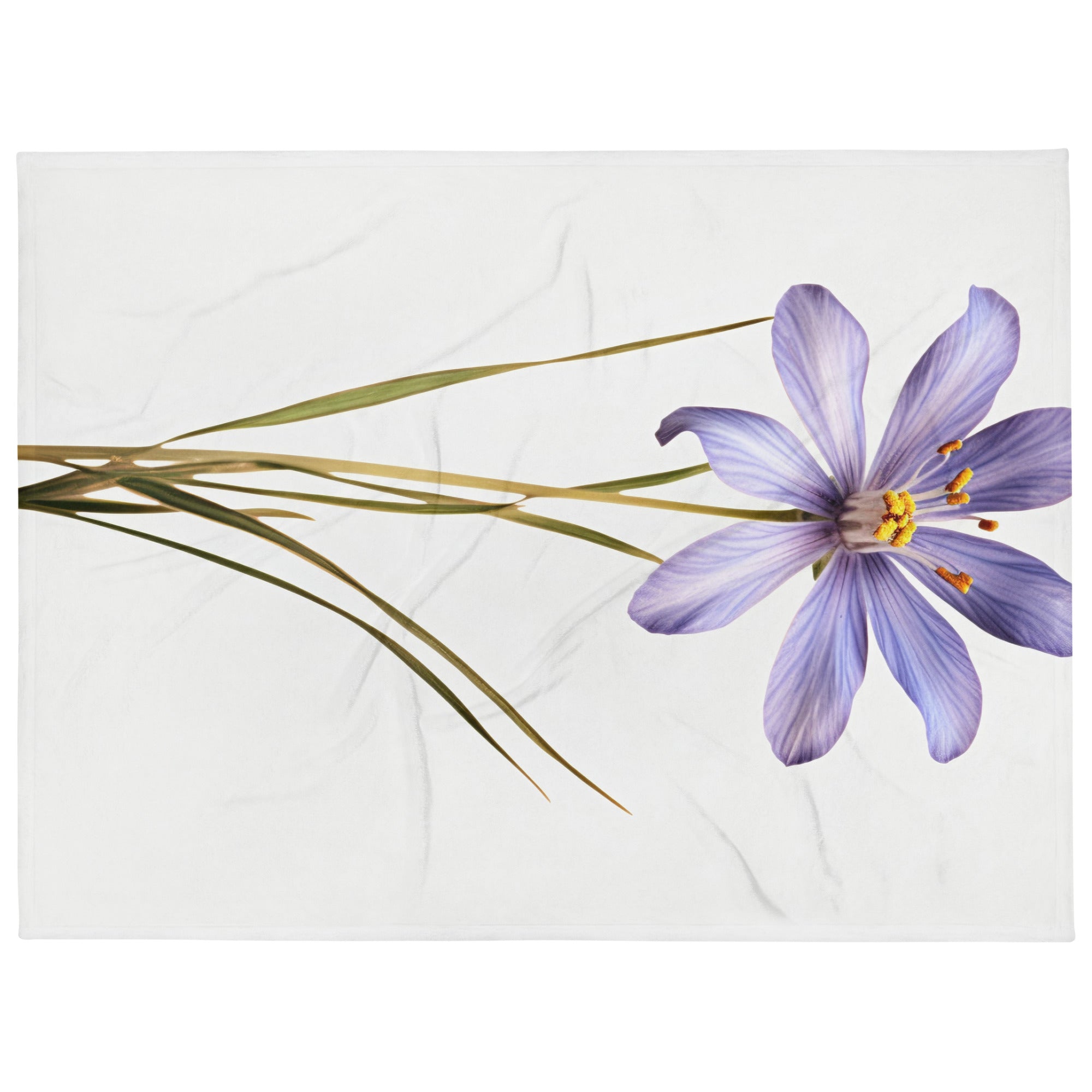 Blue-Eyed Grass Flower Blanket by Visual Verse - Image 1