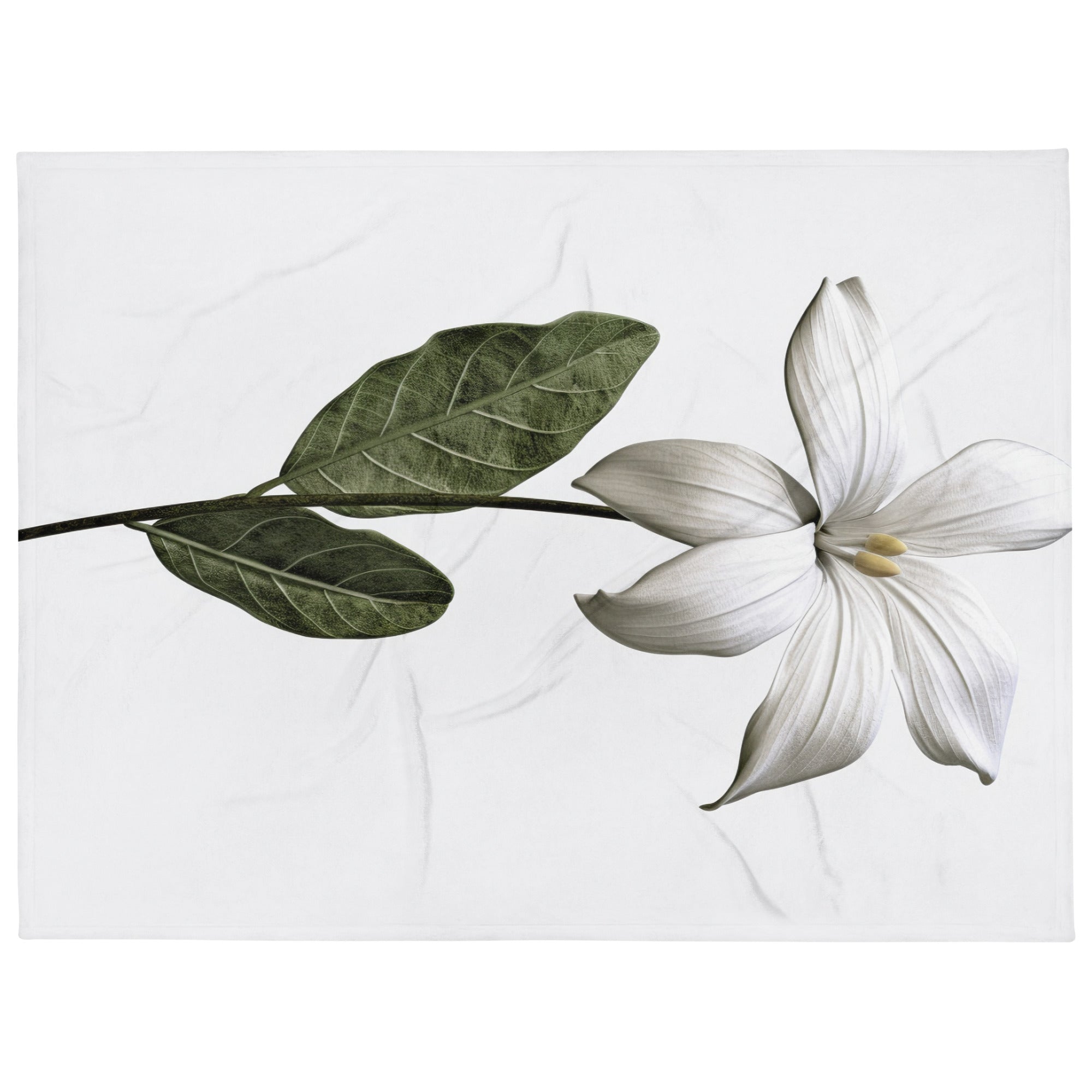 Broadleaf Arrowhead Flower Blanket by Visual Verse - Image 1