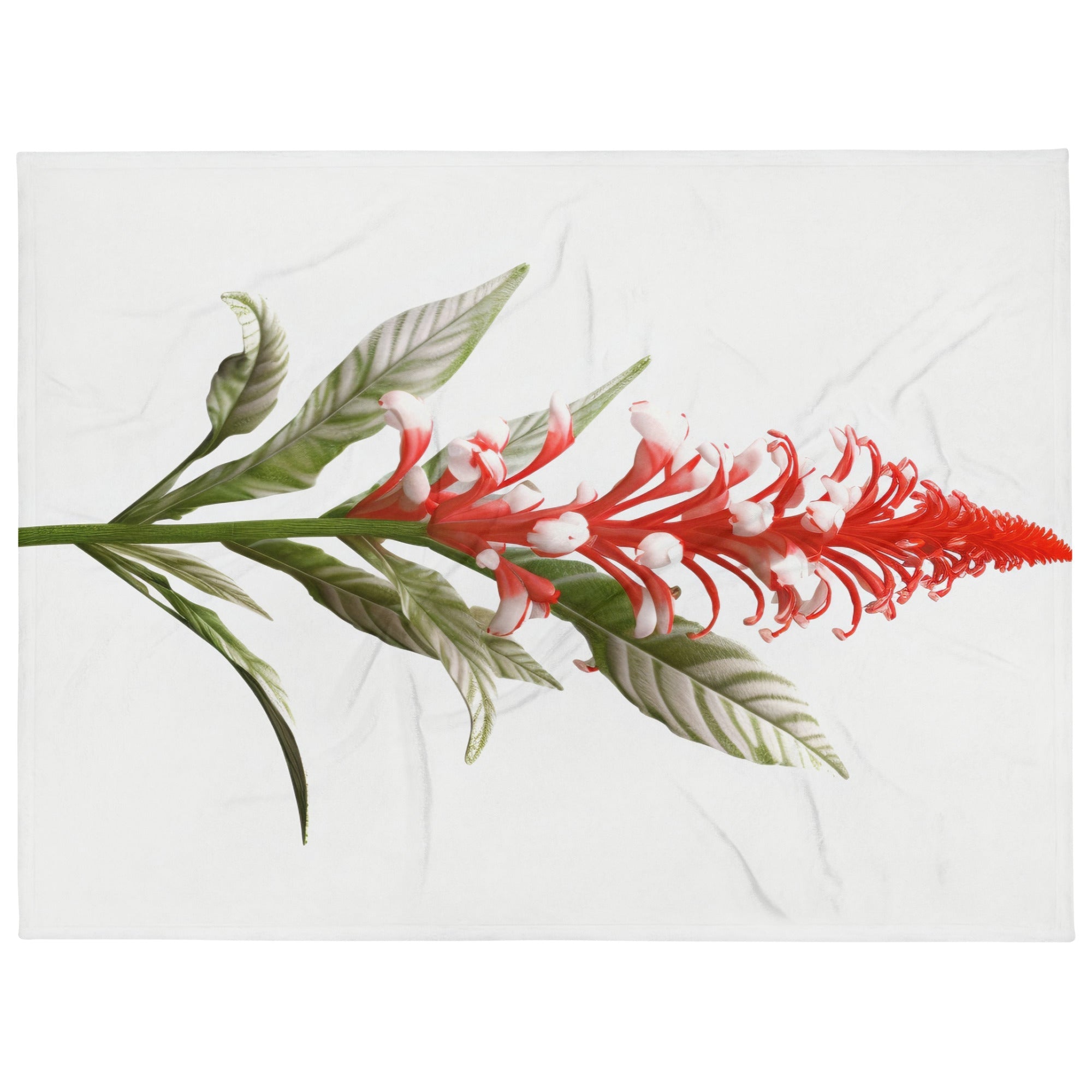 Candy Cane Cuphea Flower Blanket by Visual Verse - Image 1