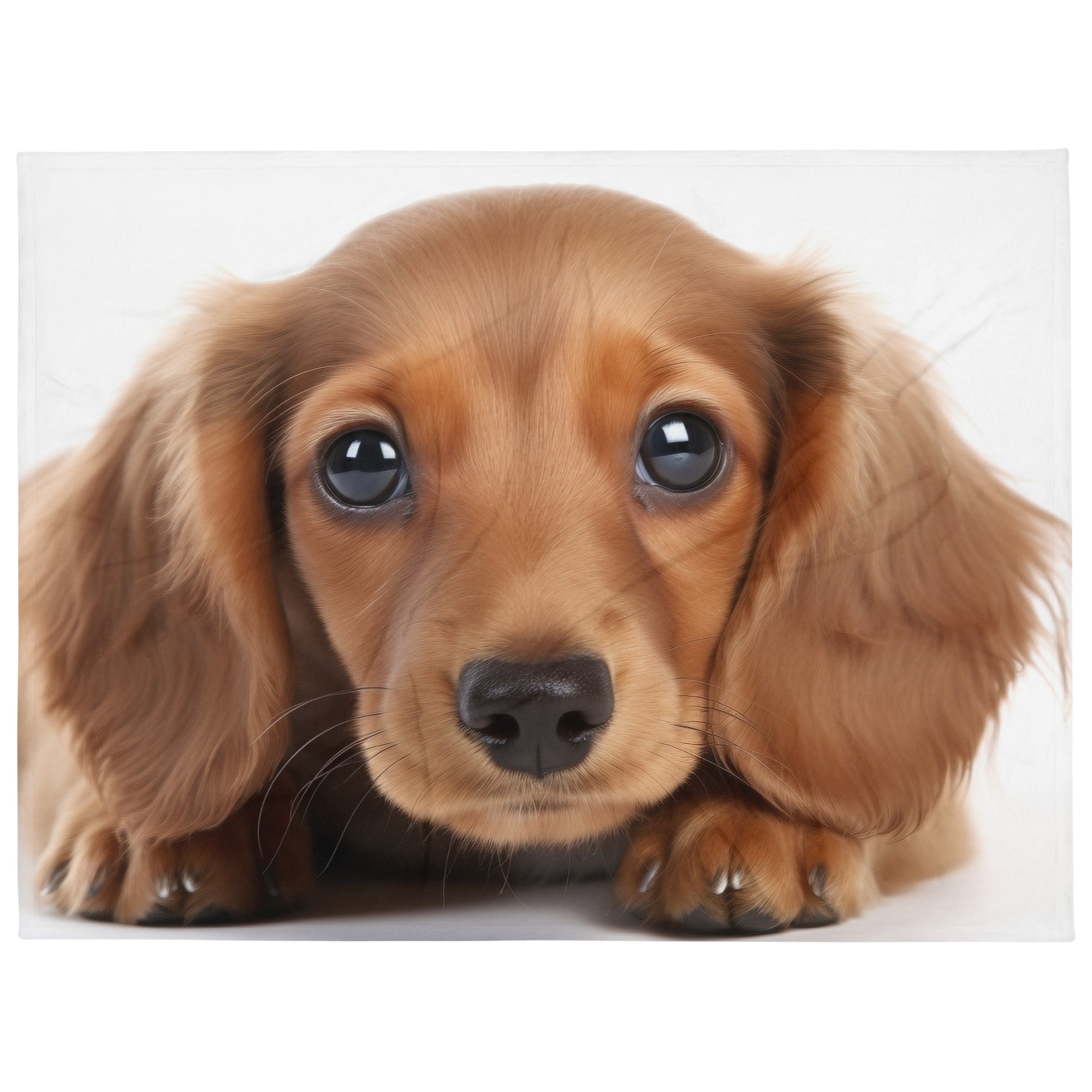 Cute Dachshund Animal Blanket by Visual Verse - Image 2