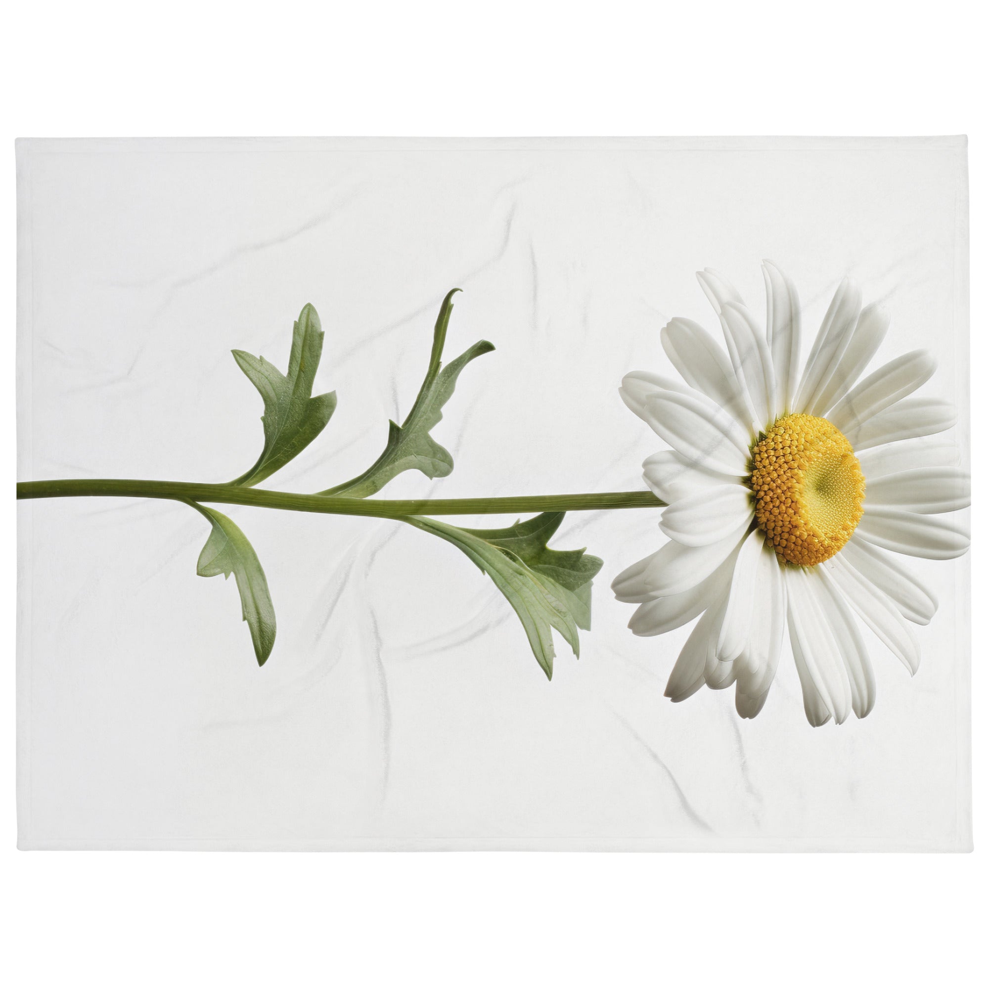 Daisy May Shasta Daisy Flower Blanket by Visual Verse - Image 1