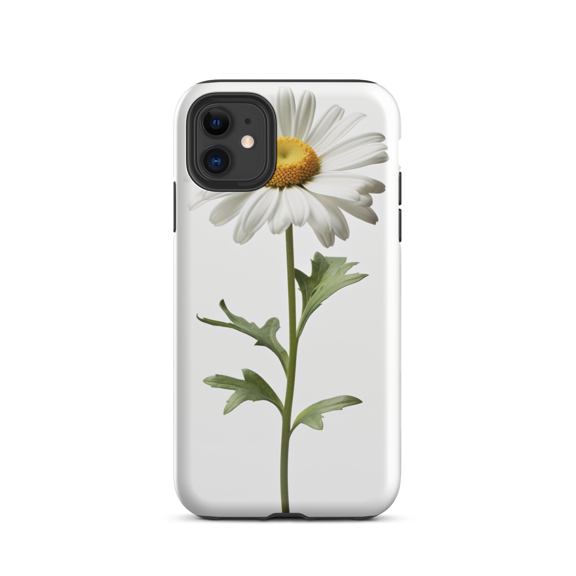 Daisy May Shasta Daisy Flower iPhone Case by Visual Verse - Image 1