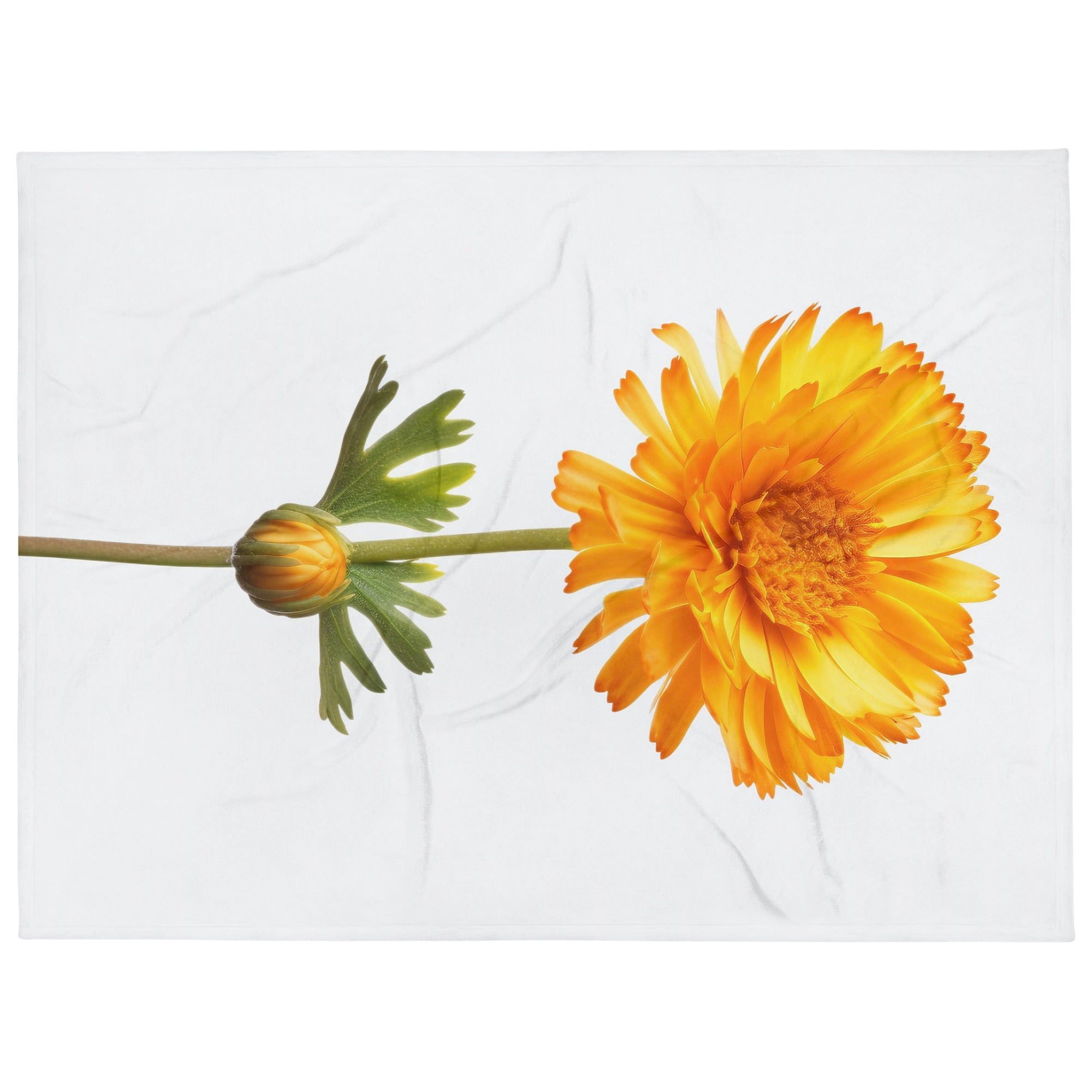 Desert Marigold Flower Blanket by Visual Verse - Image 1