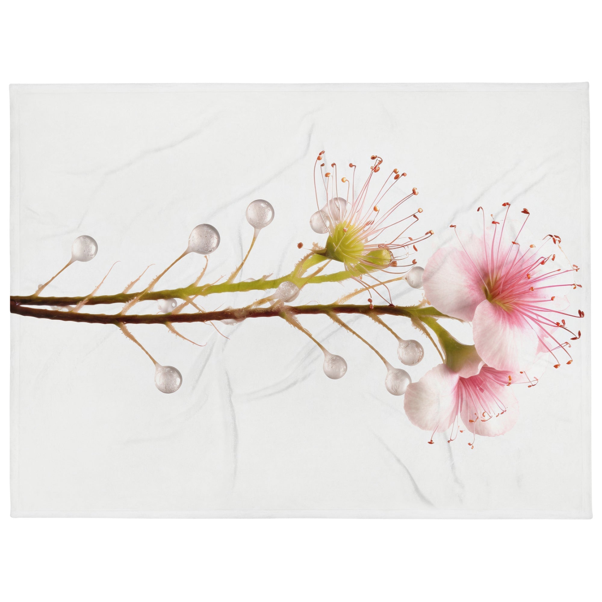 Drosera Flower Blanket by Visual Verse - Image 1