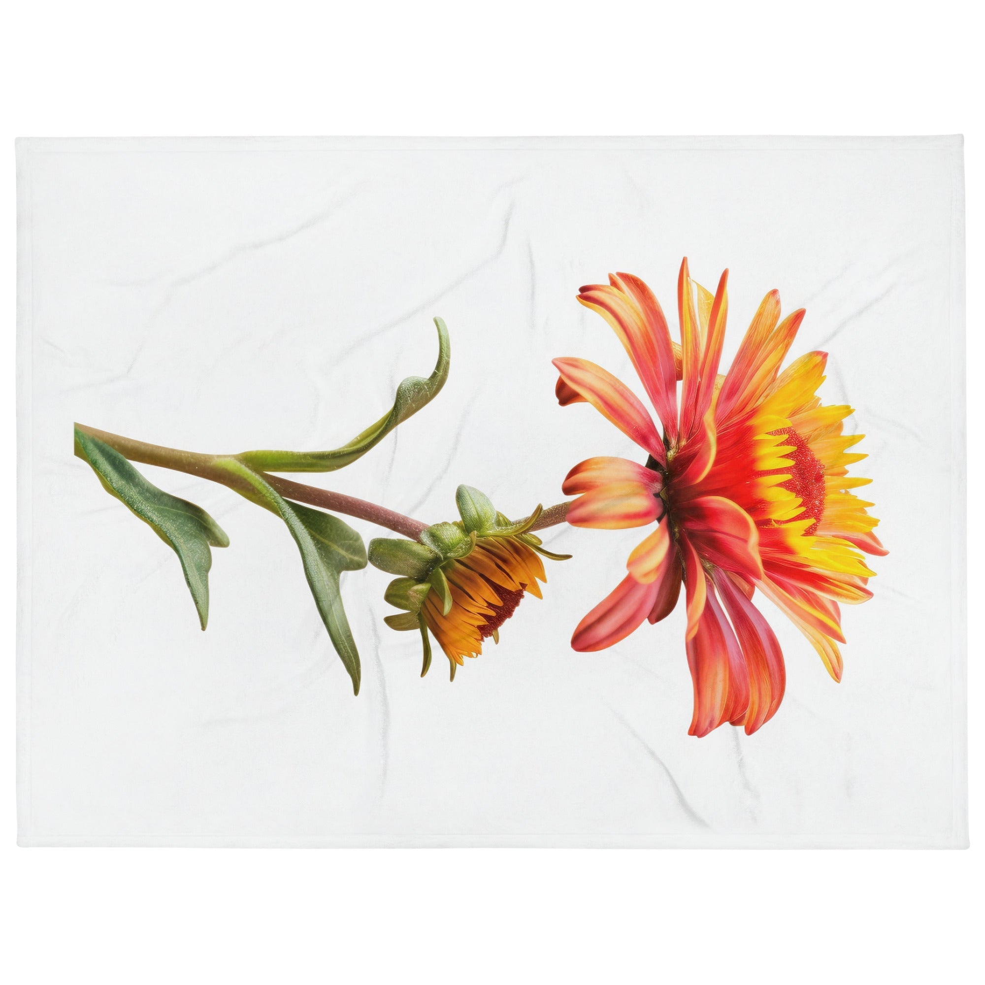 Gaillardia Flower Blanket by Visual Verse - Image 1