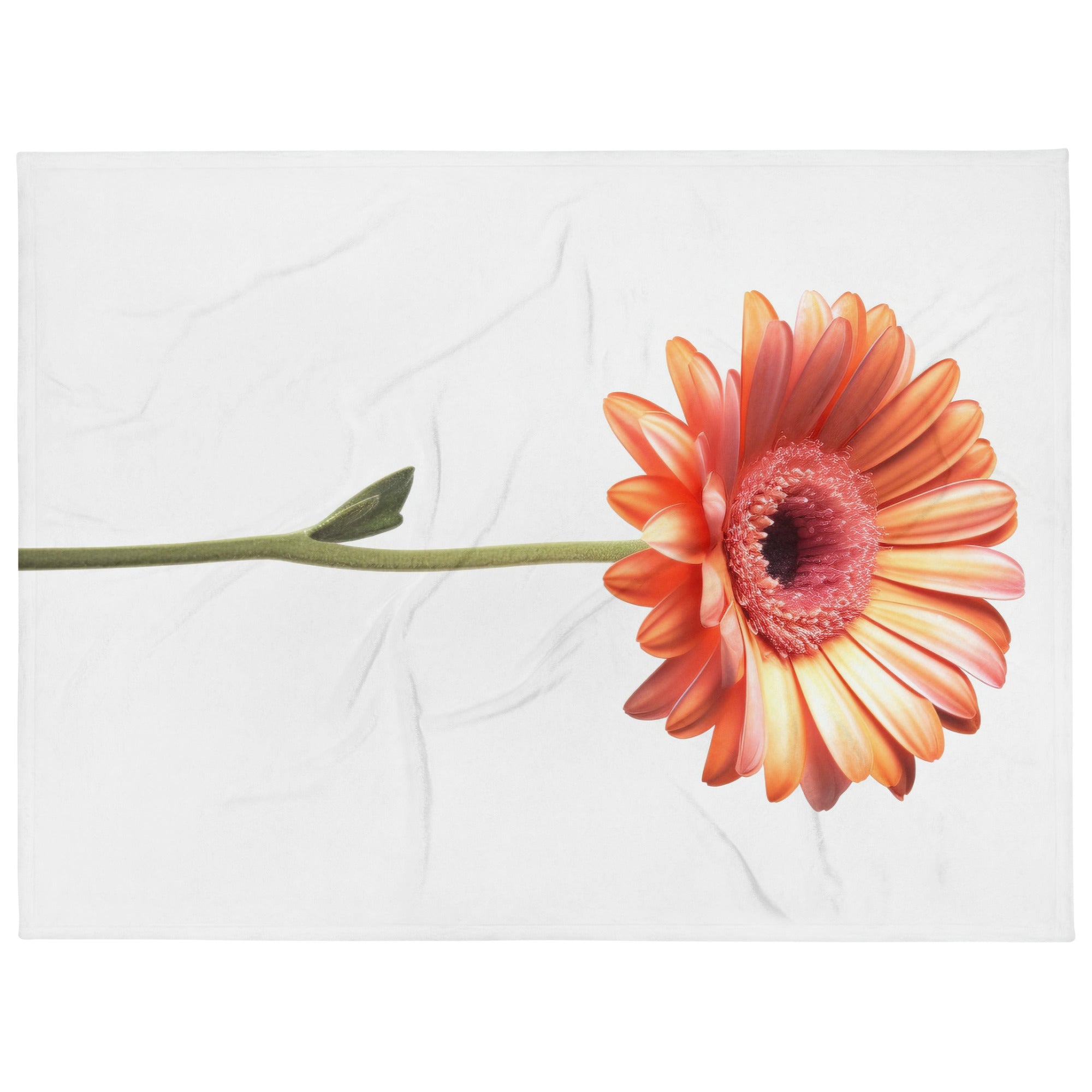 Gerbera Daisy Flower Blanket by Visual Verse - Image 1