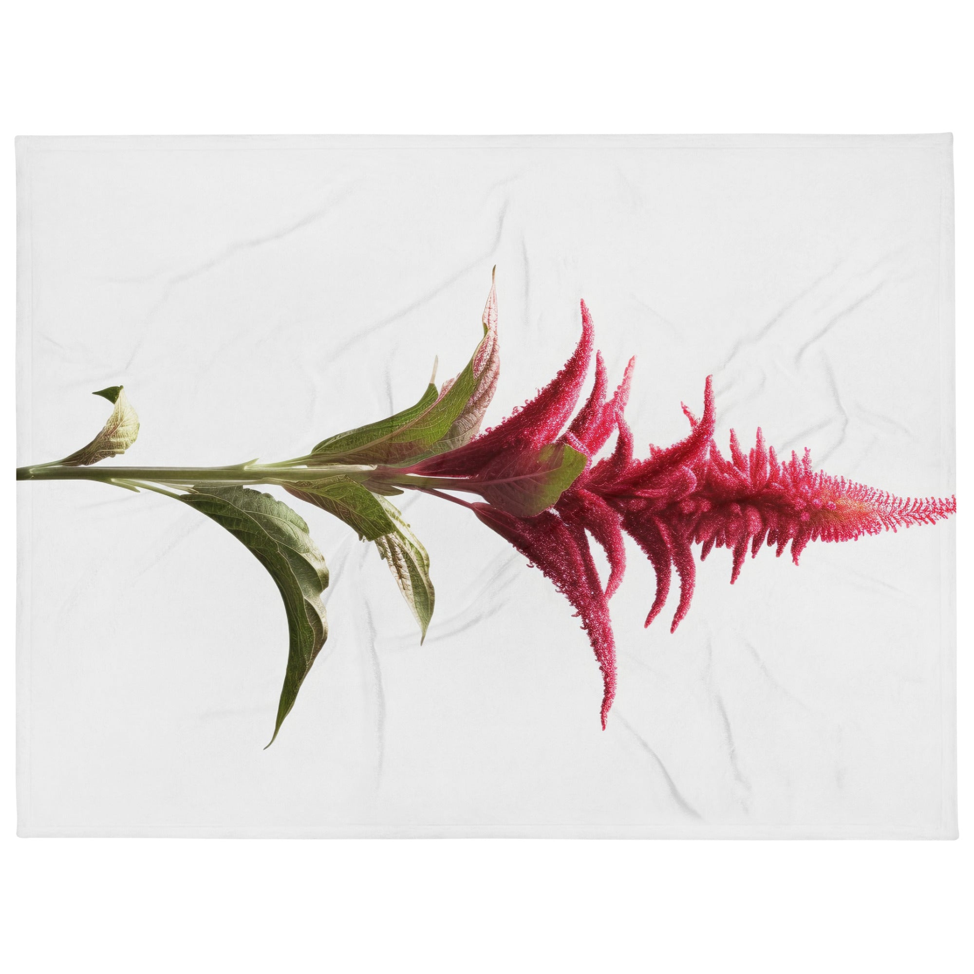 Growing Amaranth Flower Blanket by Visual Verse - Image 1