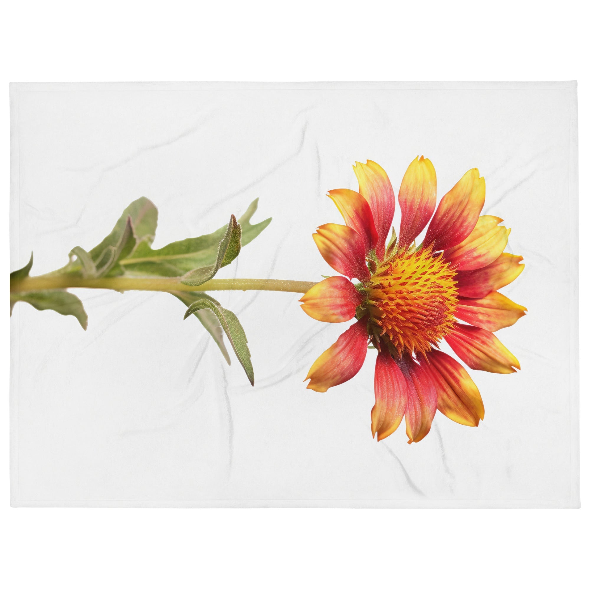 Indian Blanket Flower Blanket by Visual Verse - Image 1