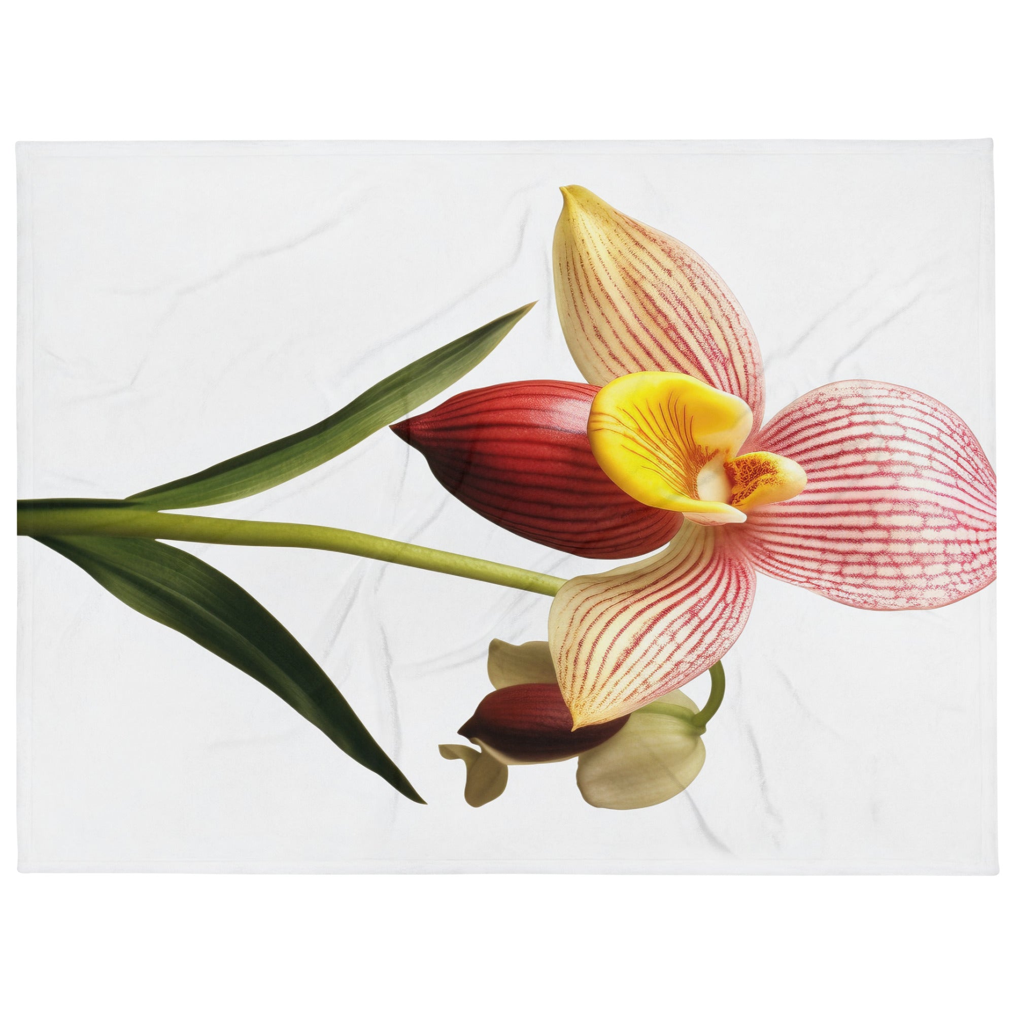 Ladys Slipper Orchid Flower Blanket by Visual Verse - Image 1