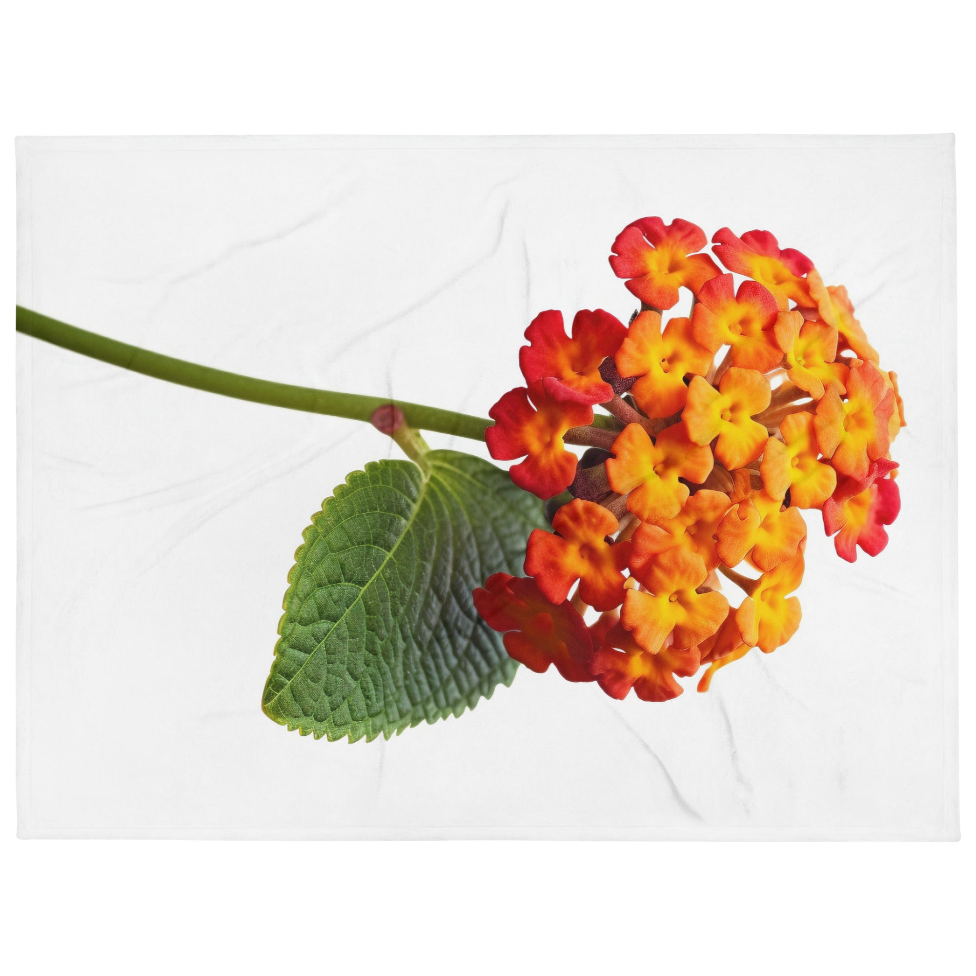 Lantana Flower Blanket by Visual Verse - Image 1