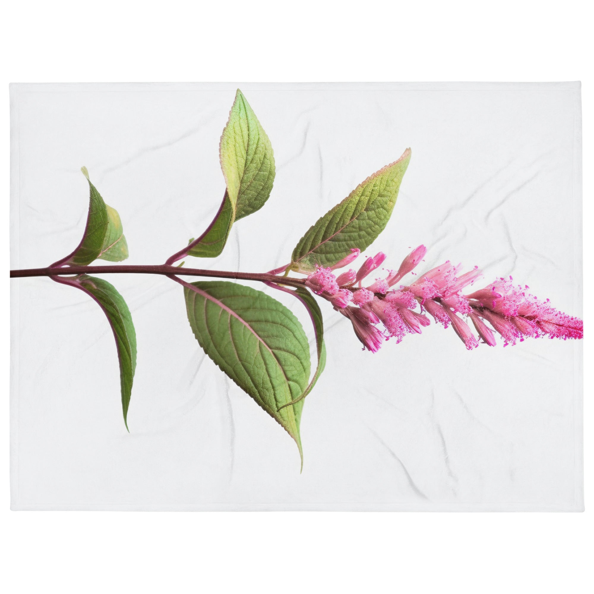 Pink Knotweed Flower Blanket by Visual Verse - Image 1