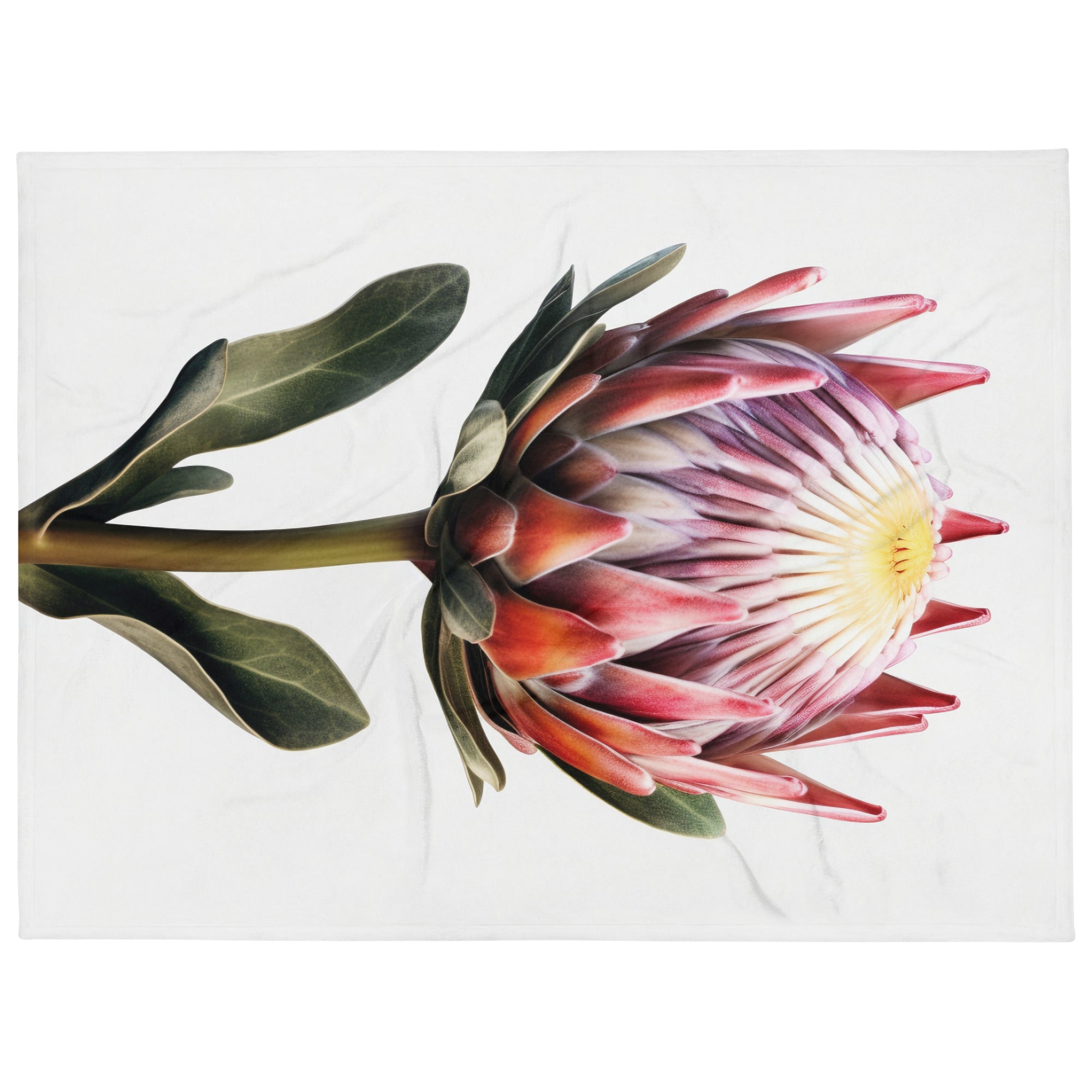 Protea Flower Blanket by Visual Verse - Image 1