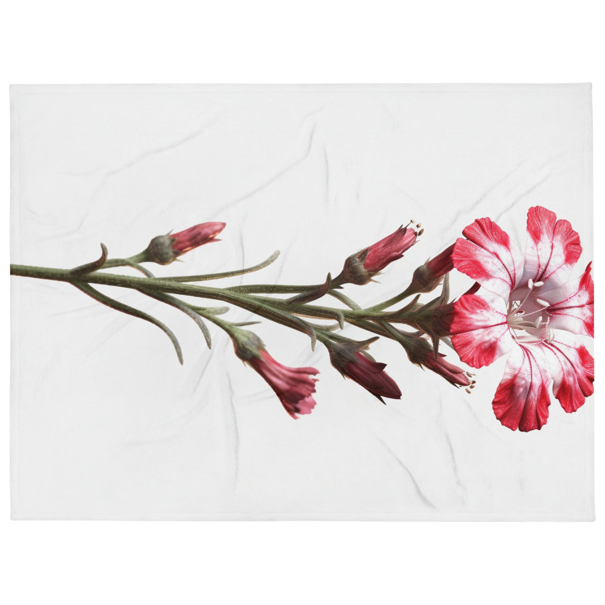 Sweet William Catchfly Flower Blanket by Visual Verse - Image 1