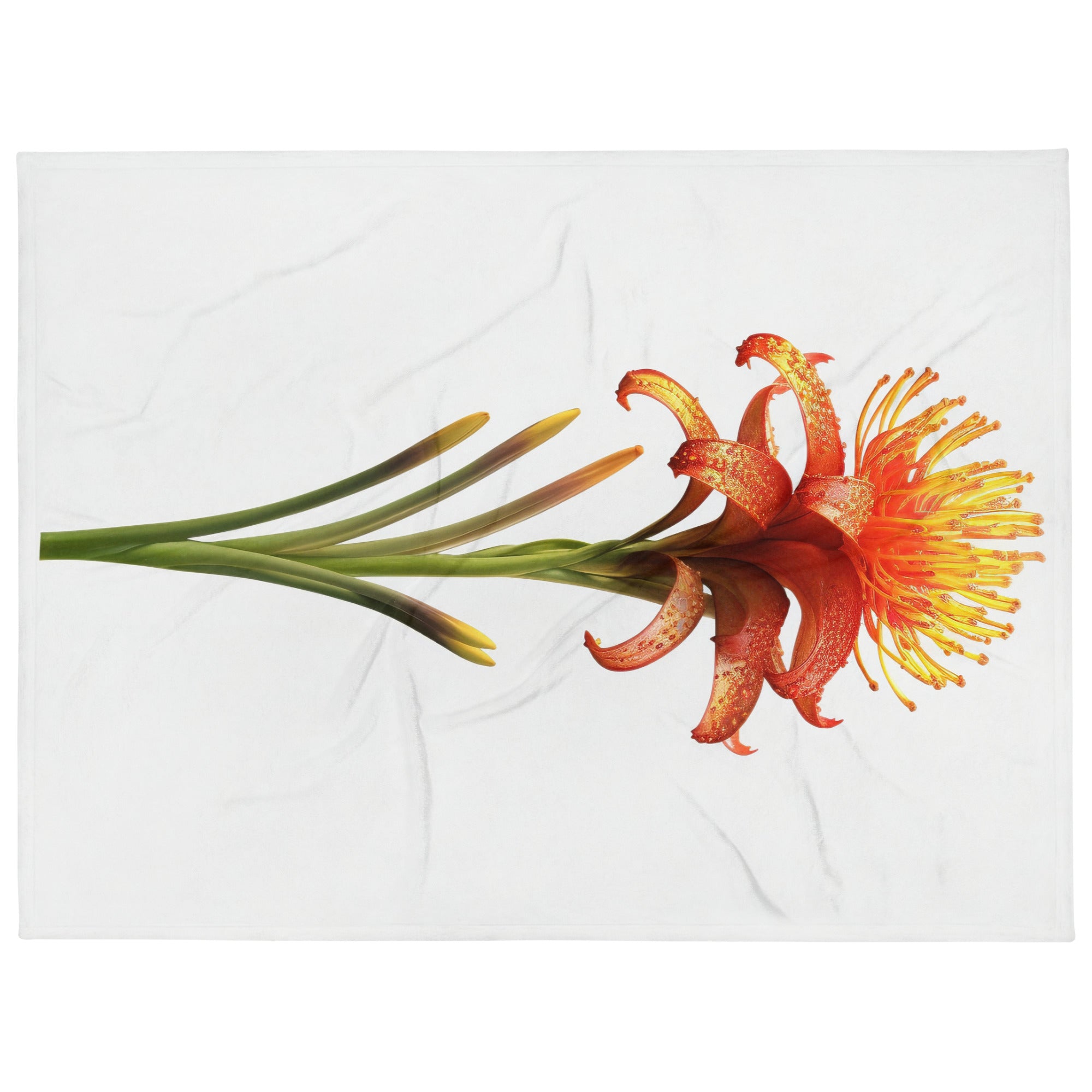 Torch Lily Flower Blanket by Visual Verse - Image 1